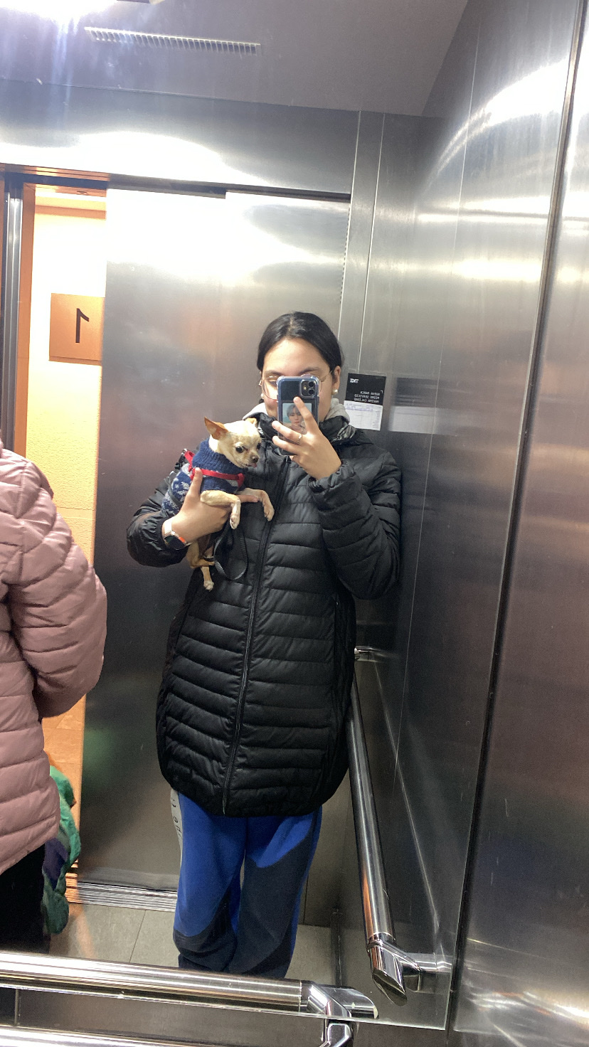 image-5