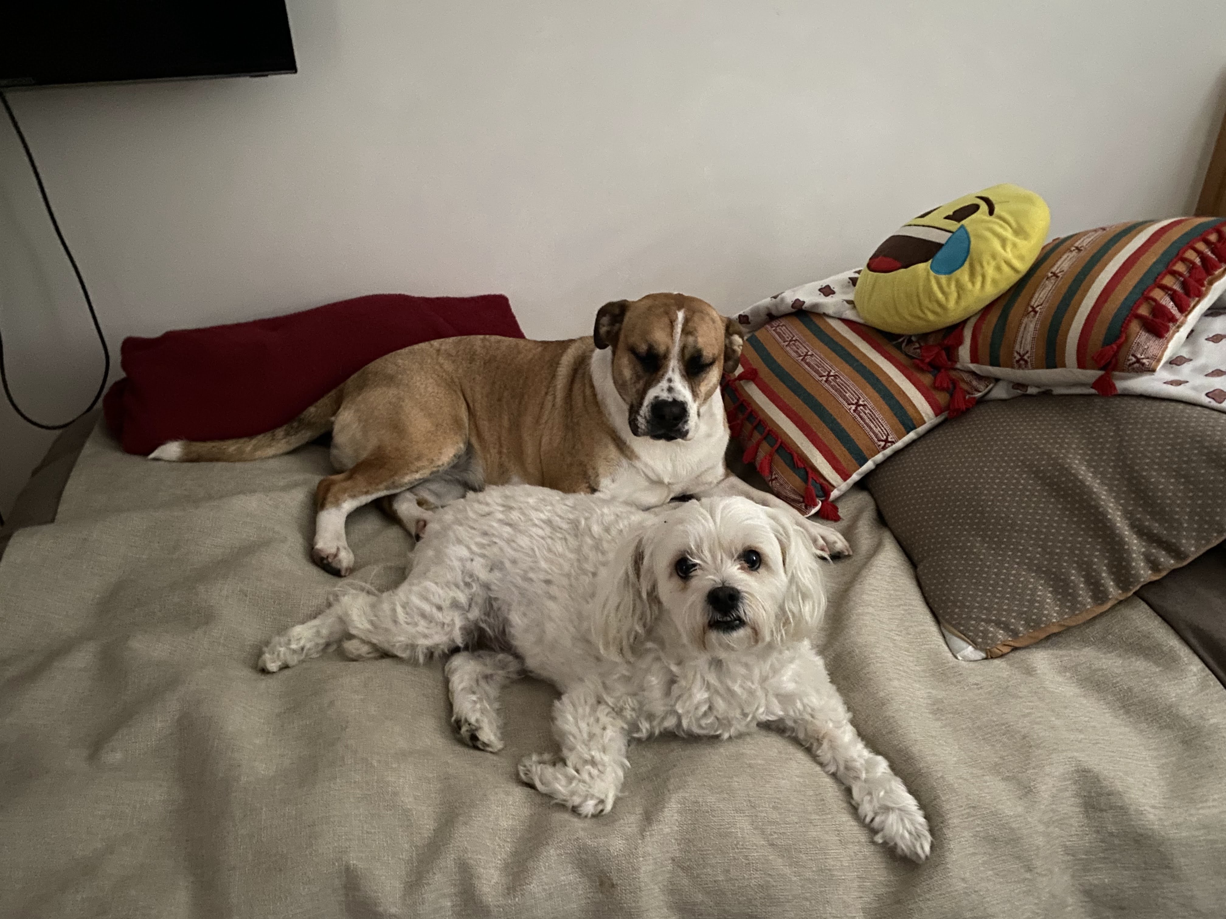 image-4