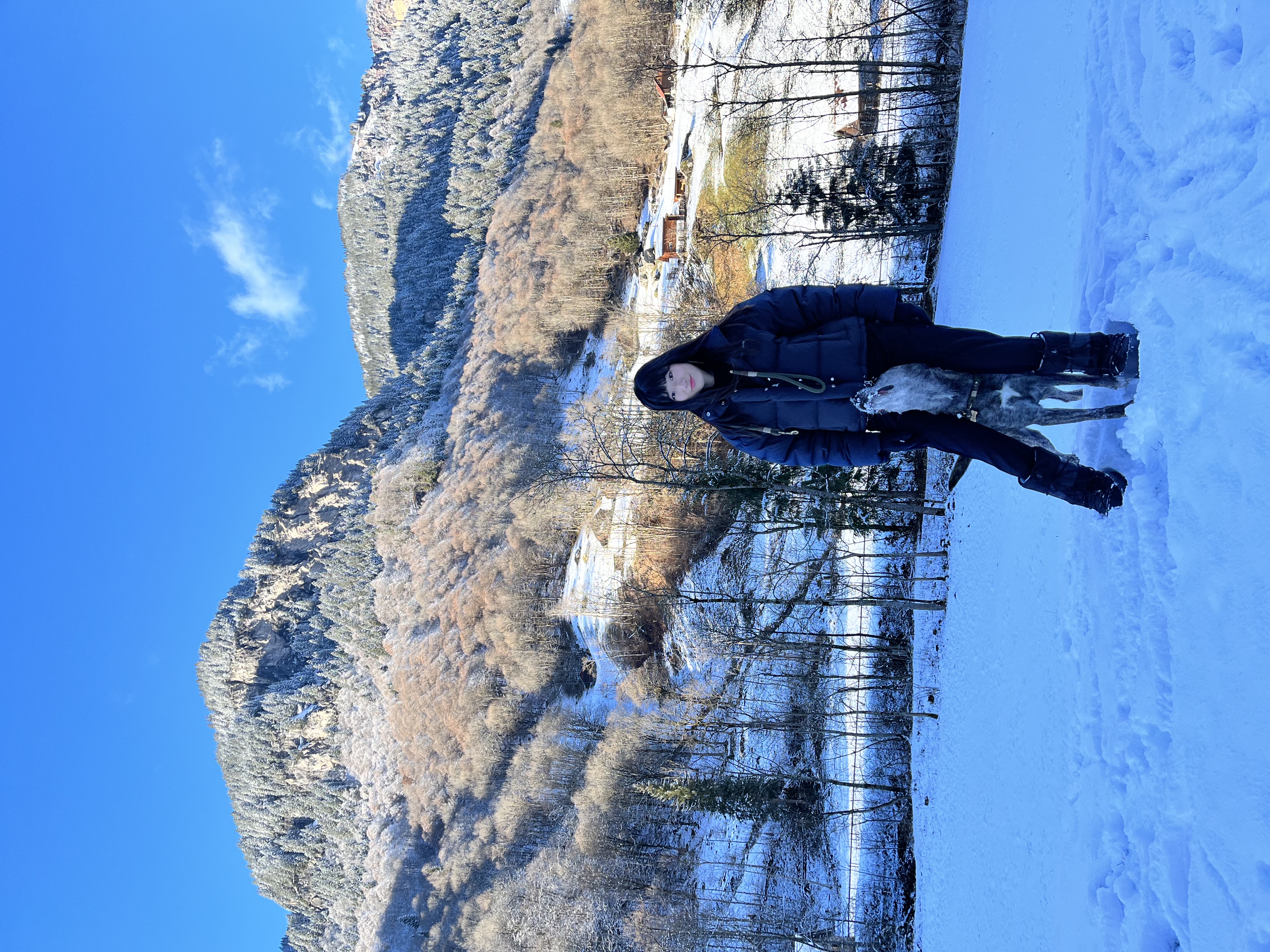 image-7