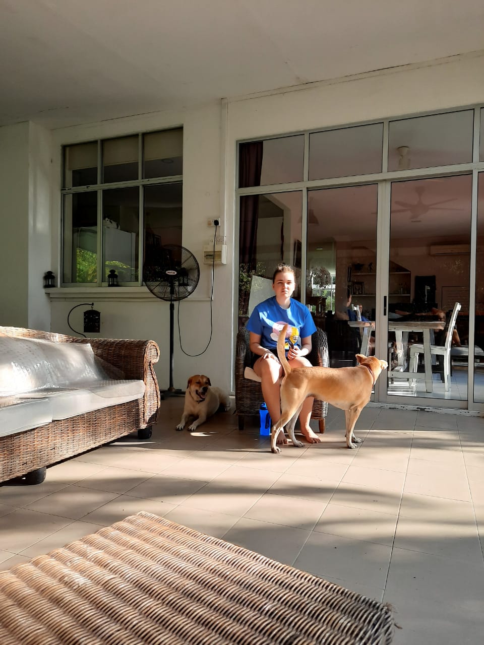 image-2