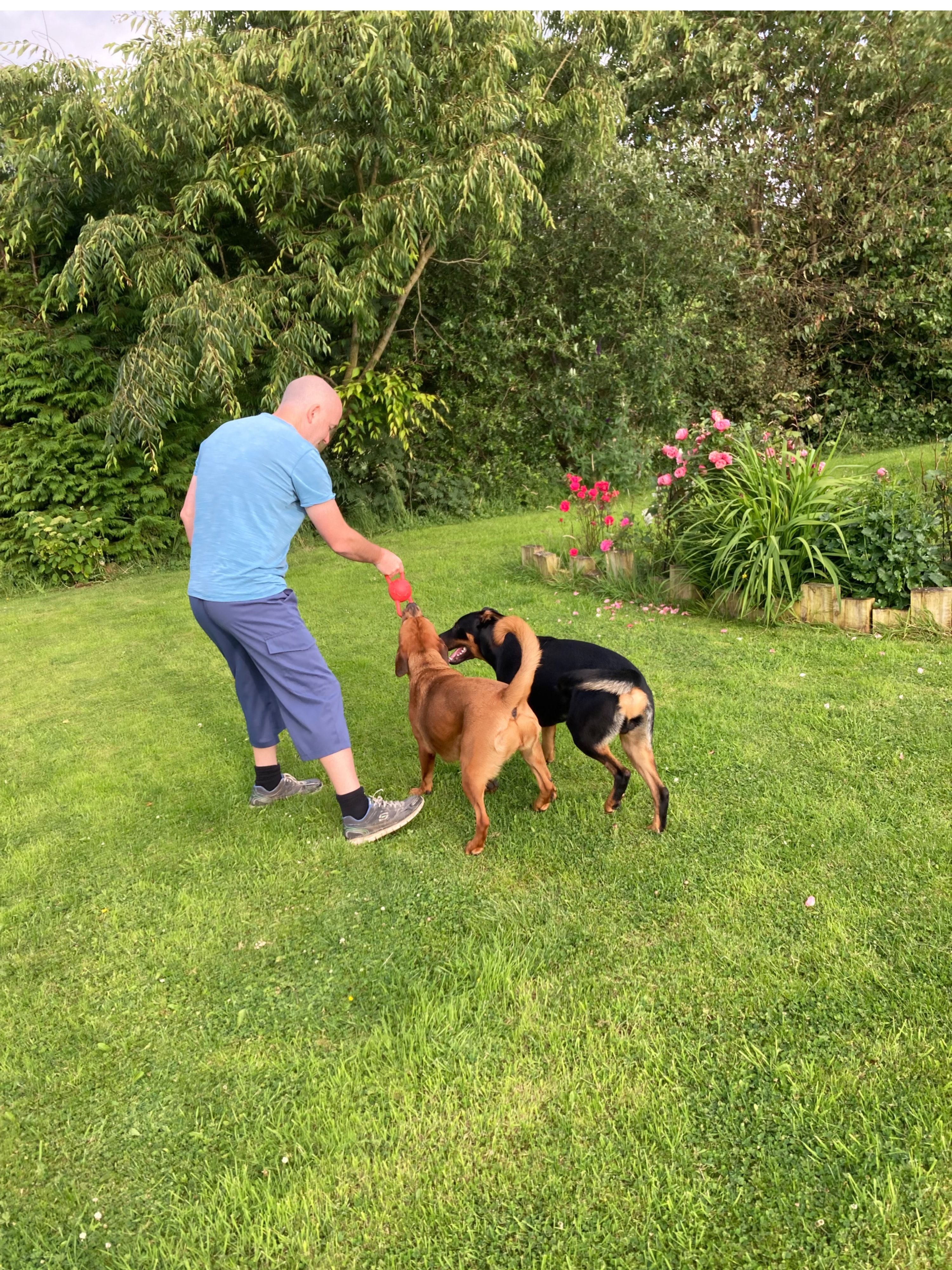 image-20