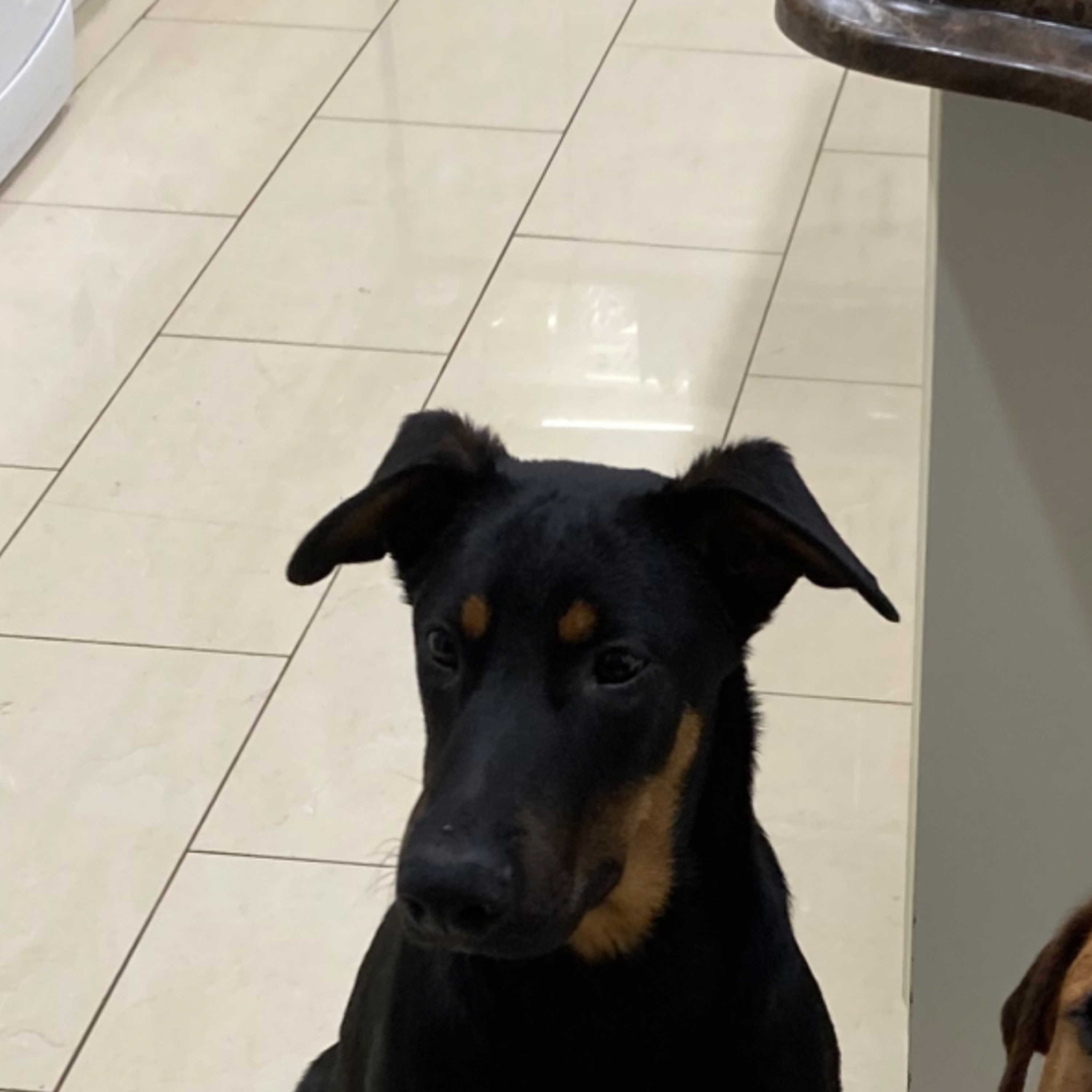 Zeus