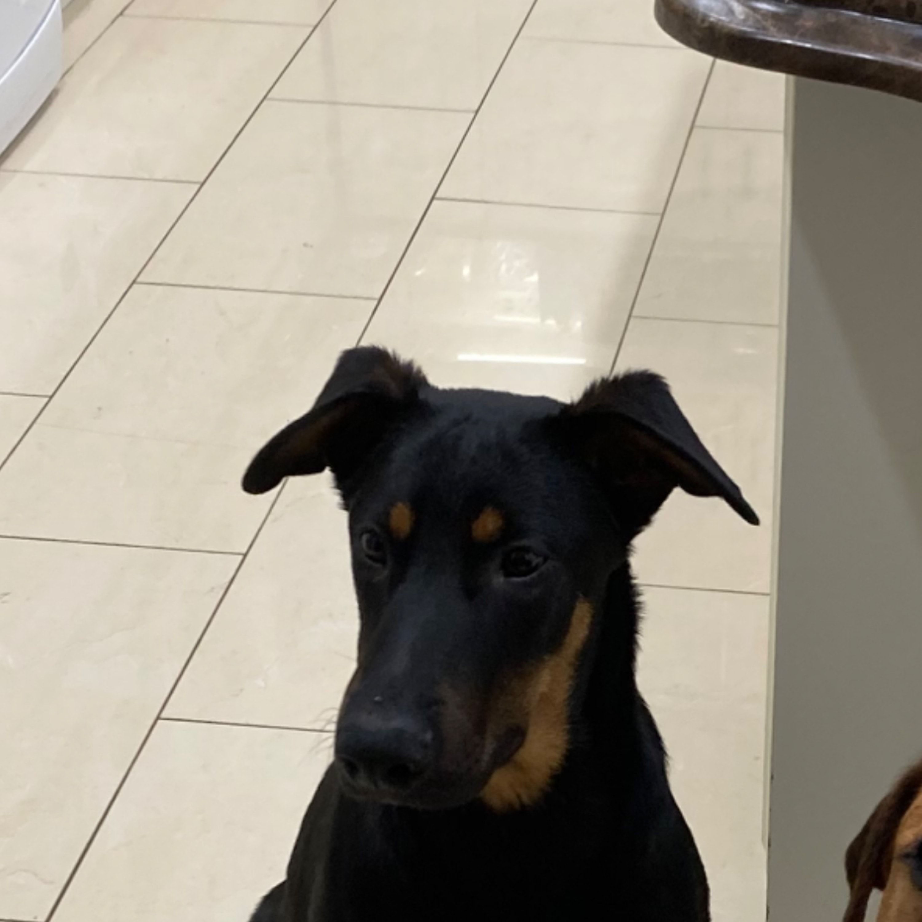Zeus