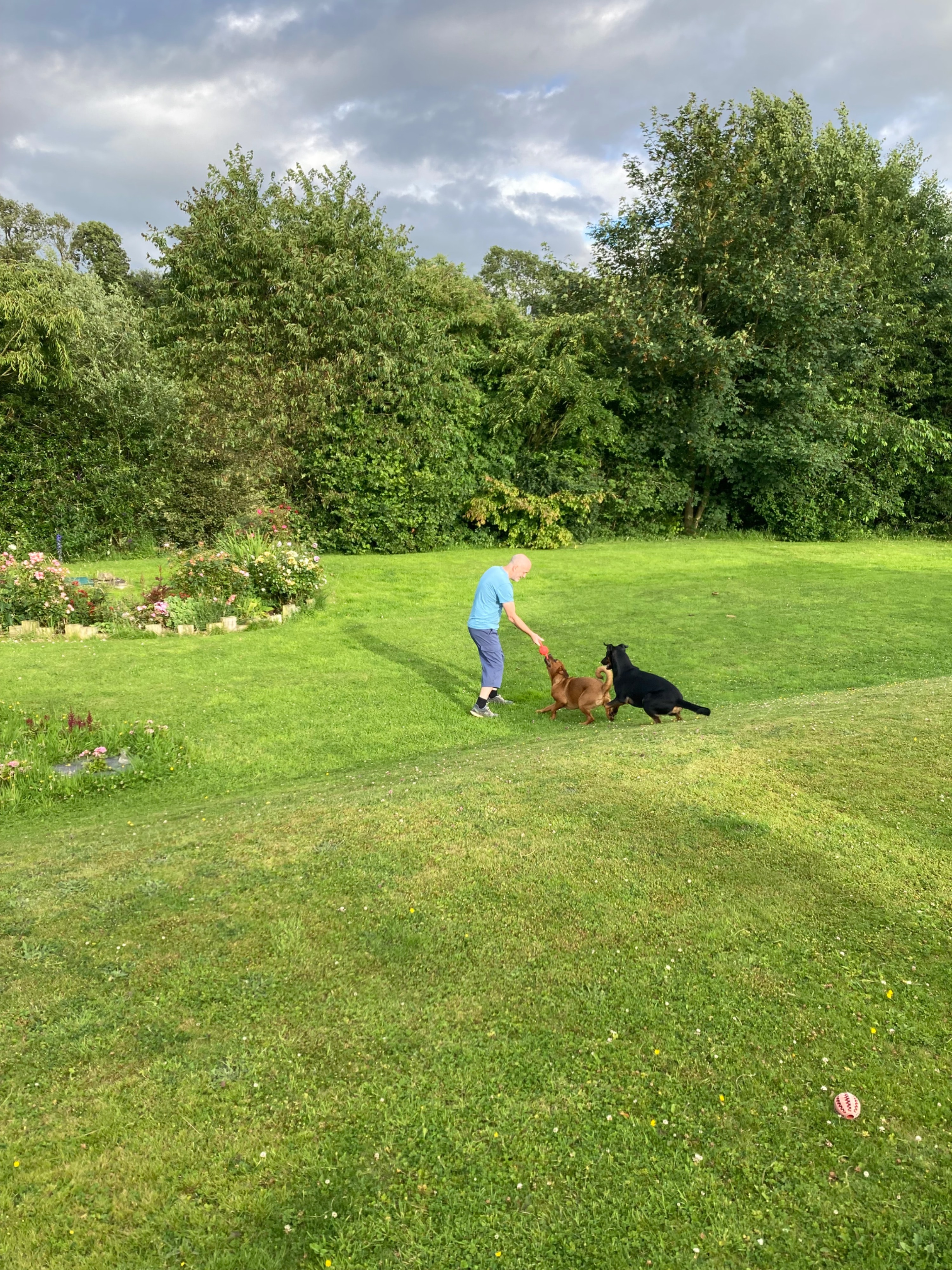 image-21