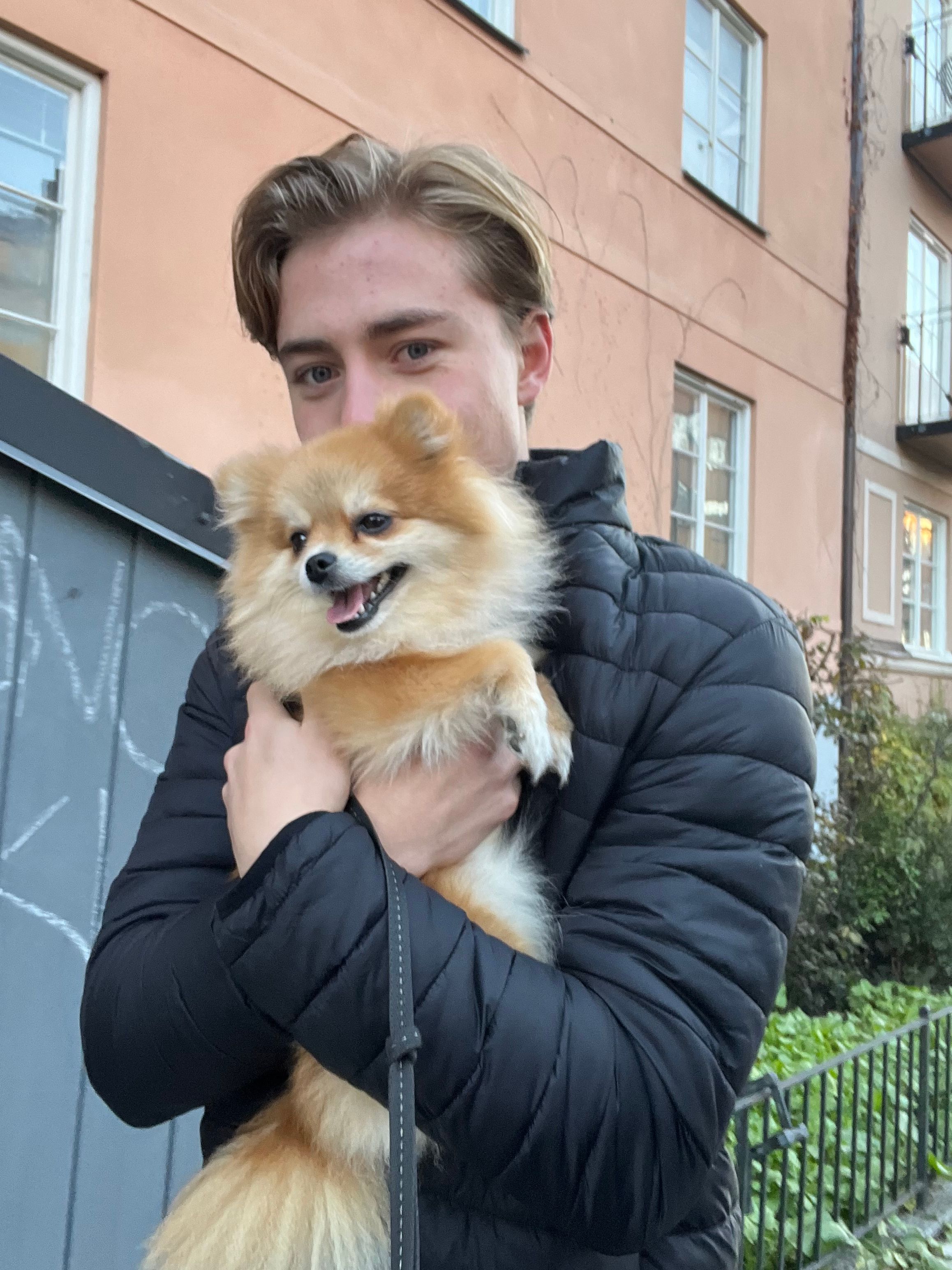 image-7