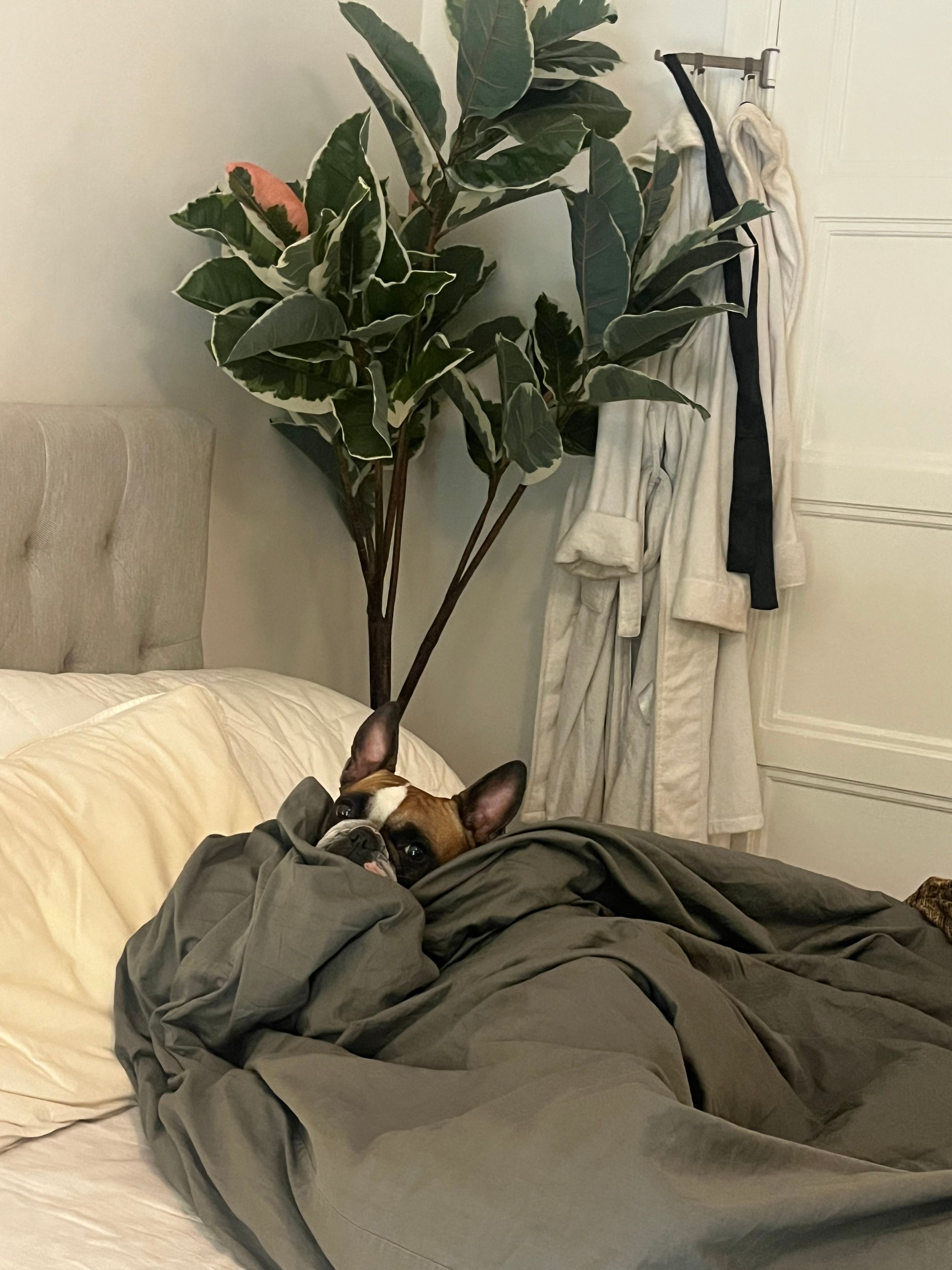 image-13