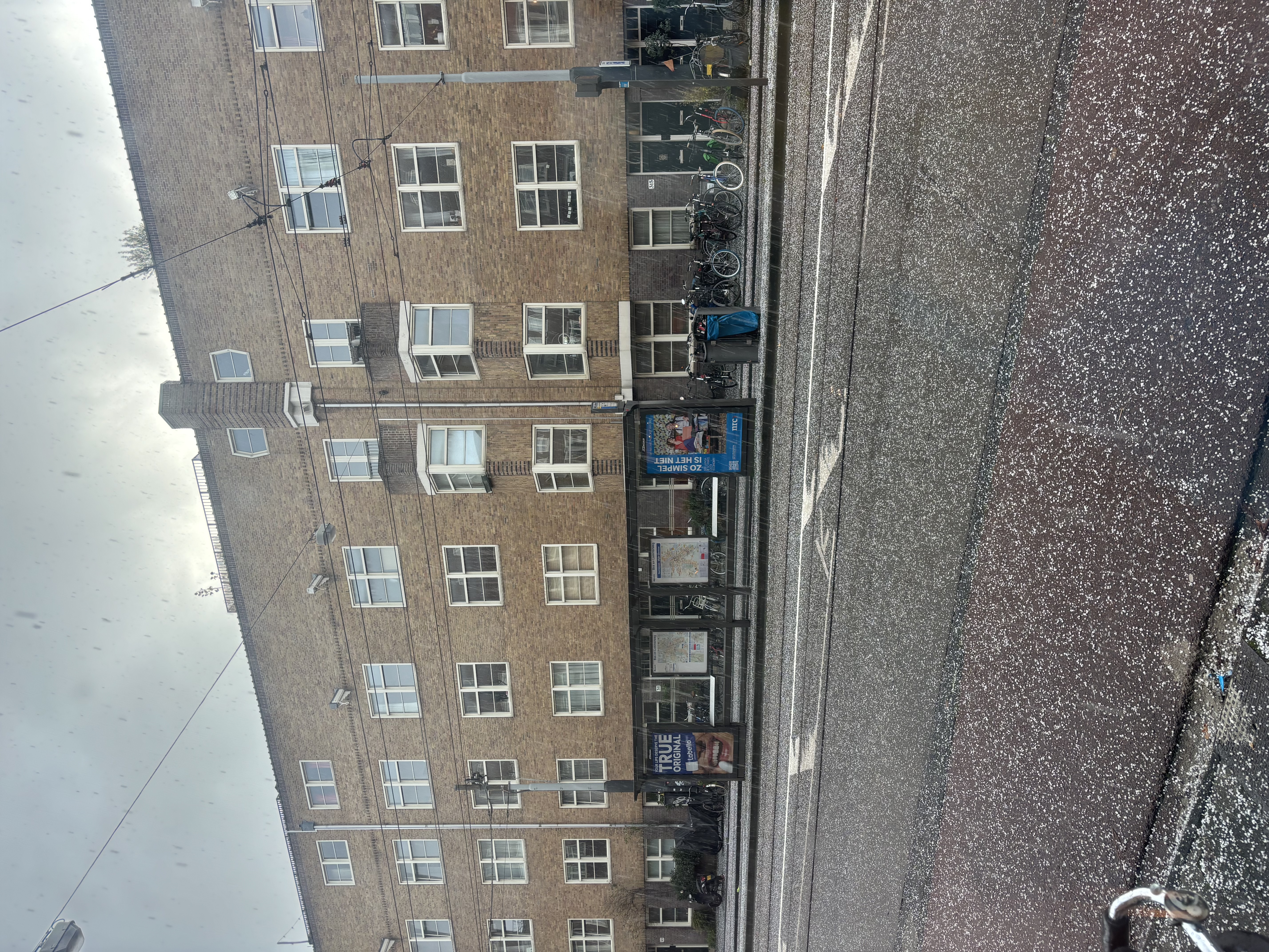 image-20