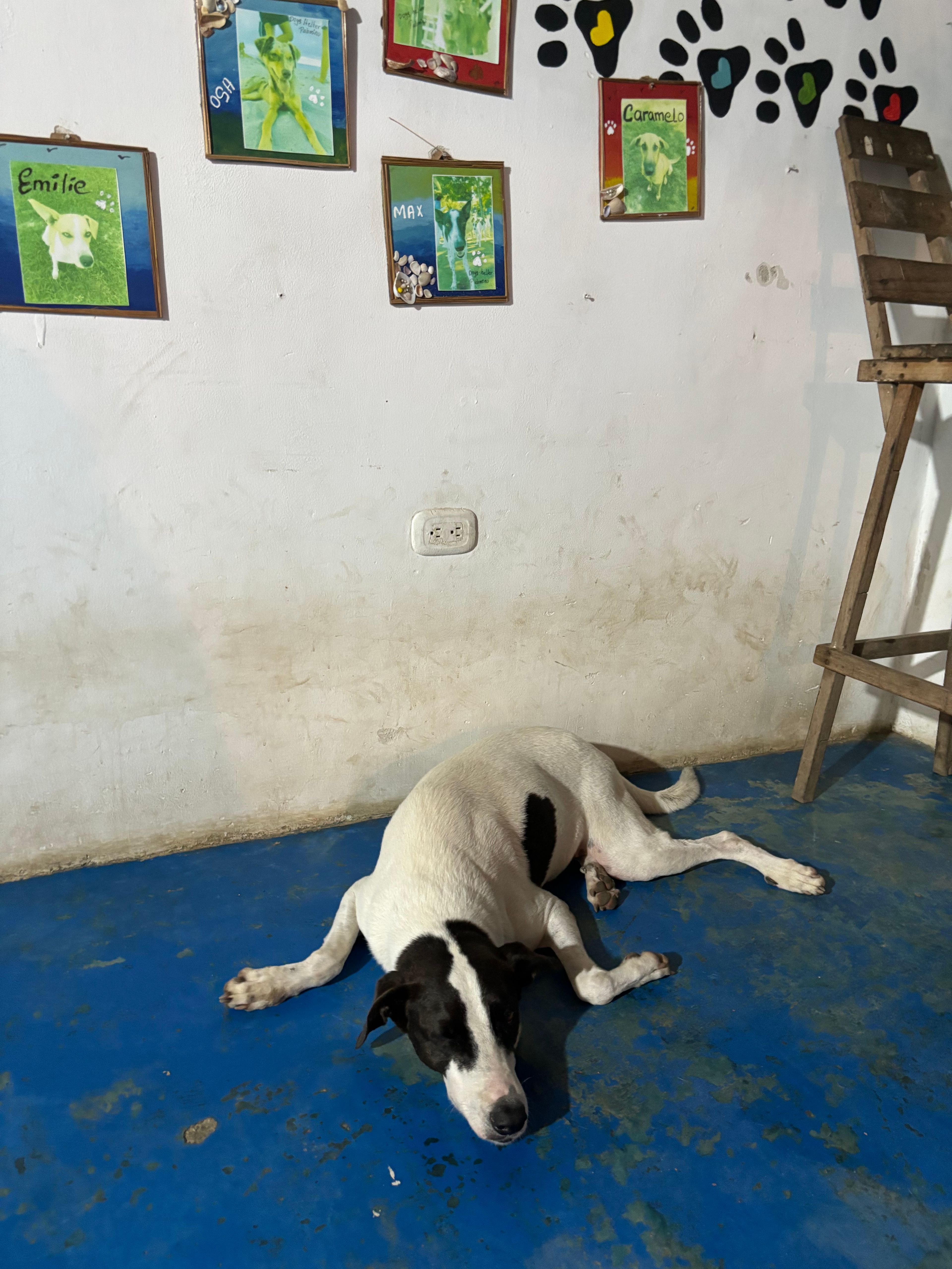 image-14