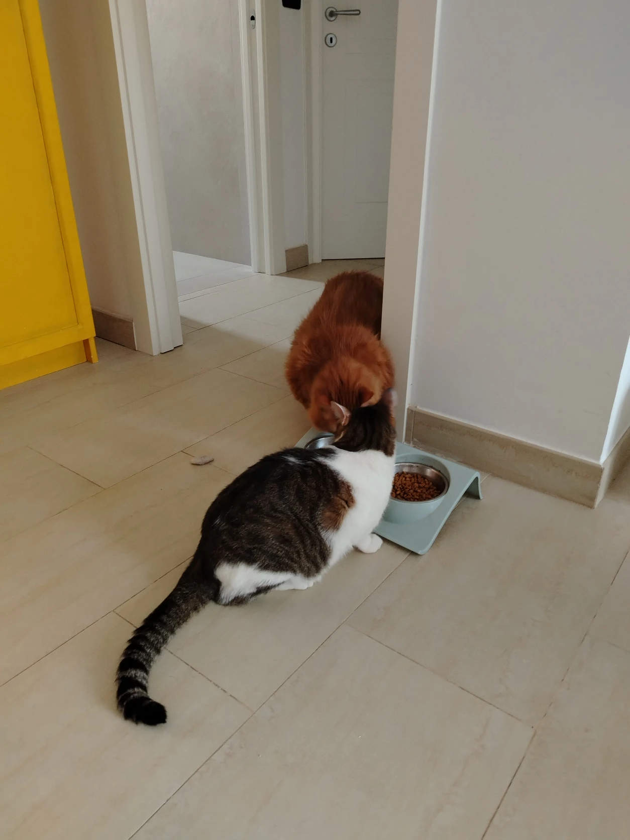 image-27