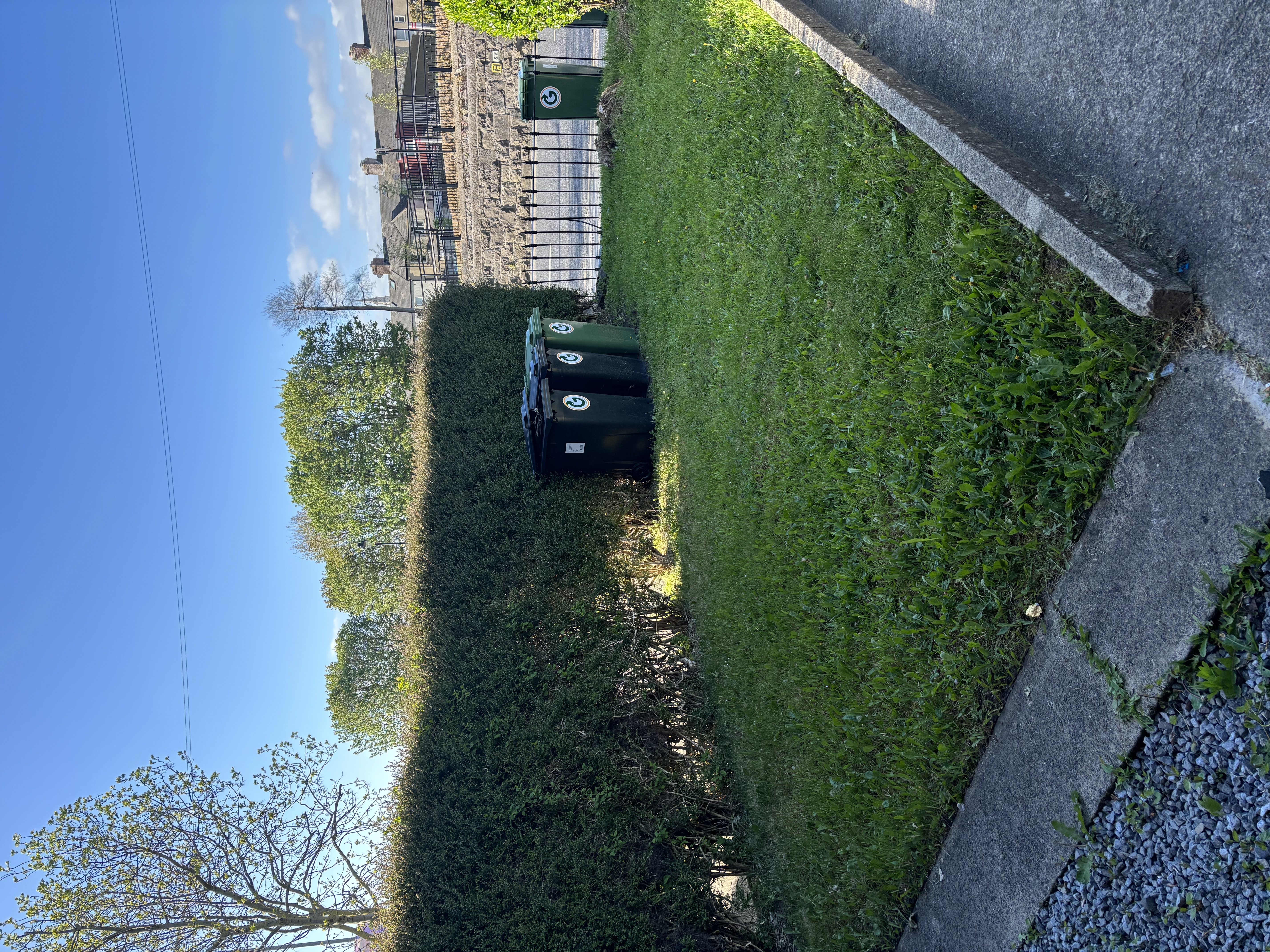 image-16