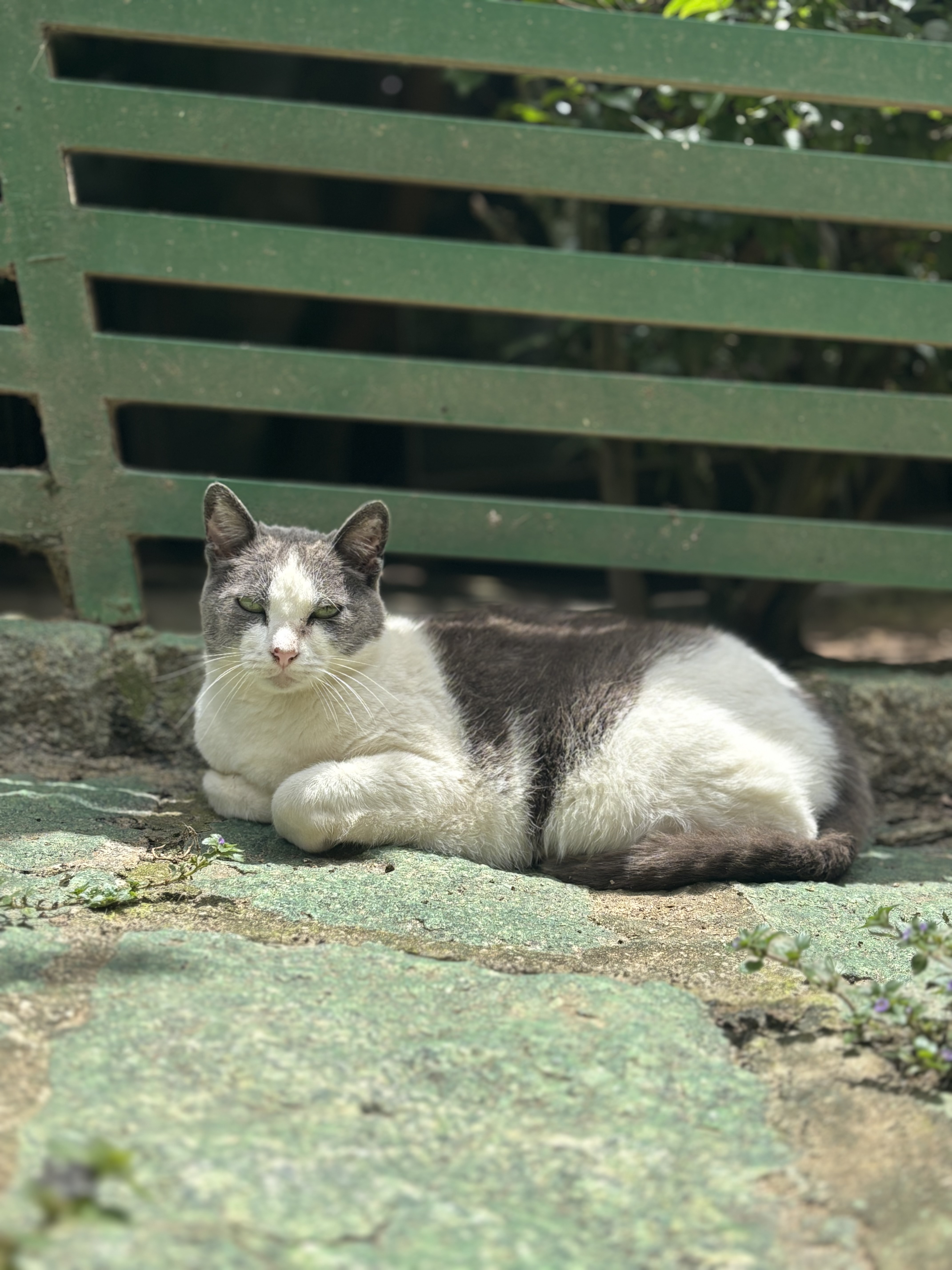 image-14