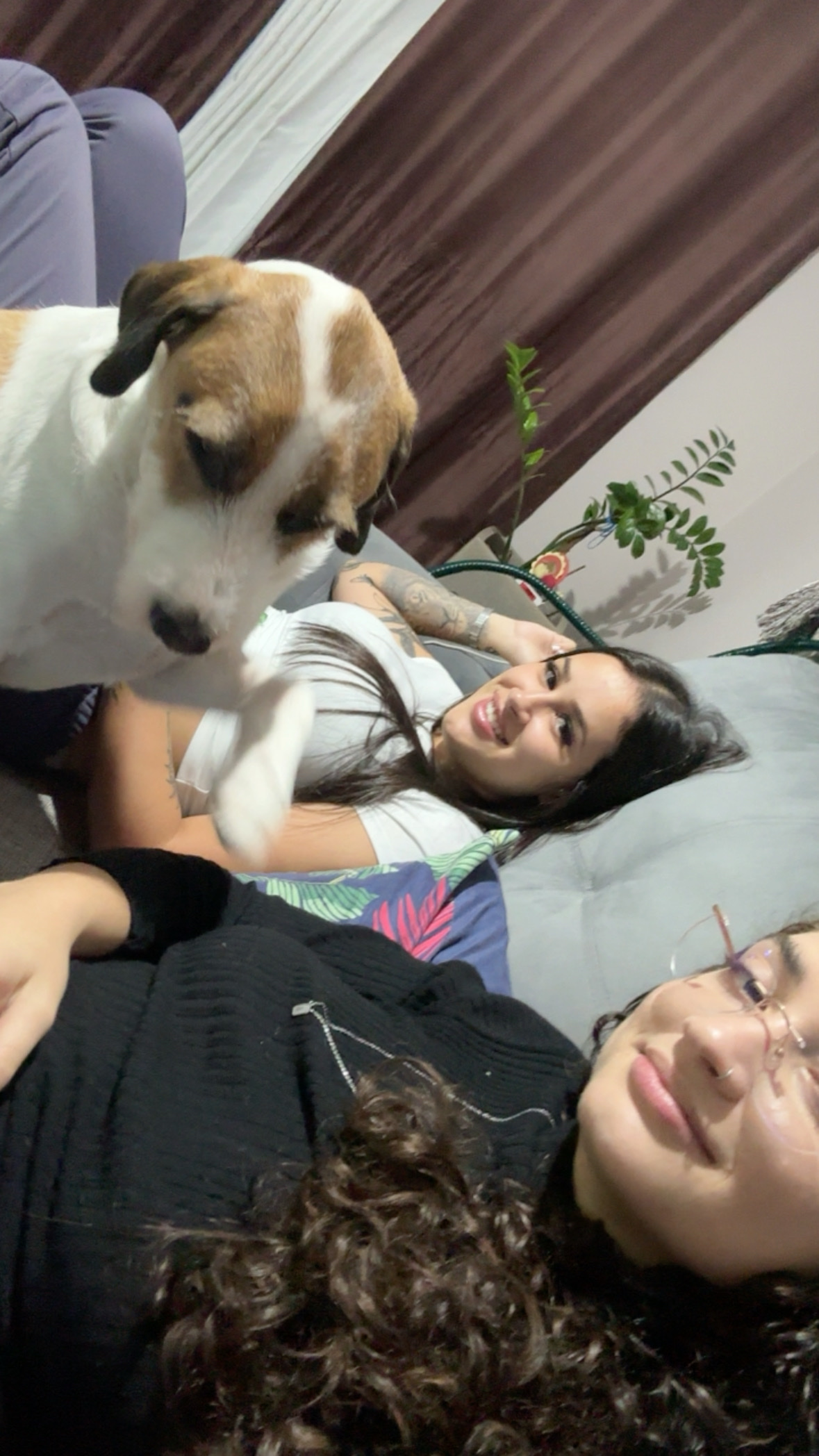 image-3