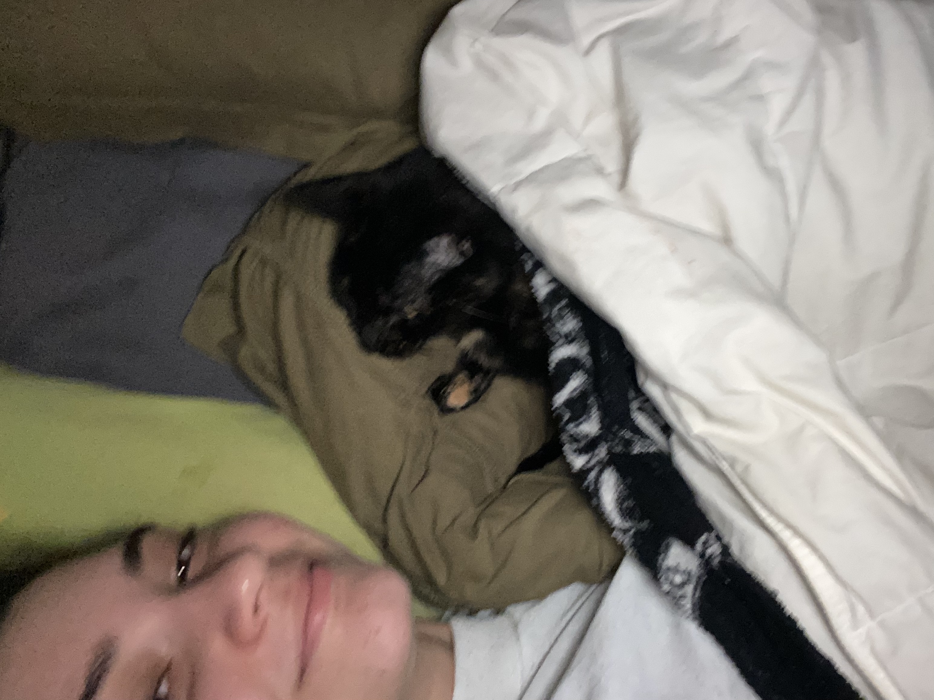 image-7