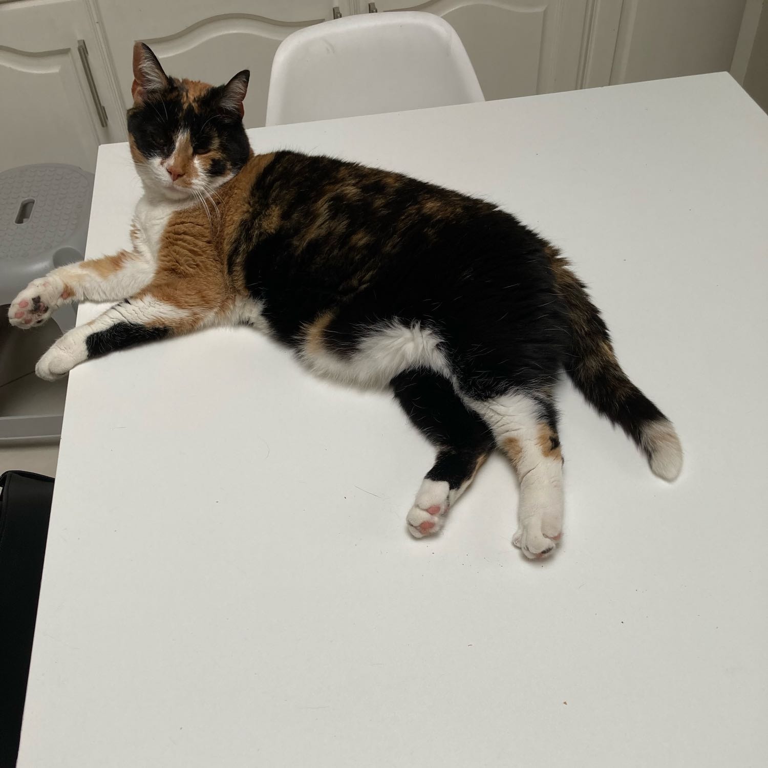 Luna