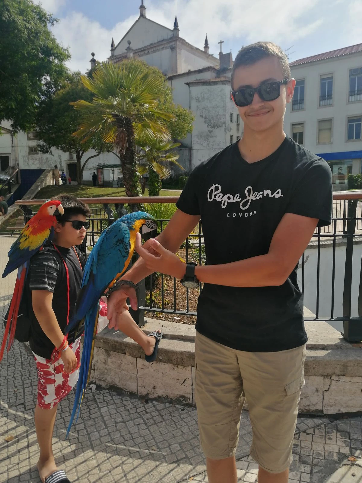 image-6