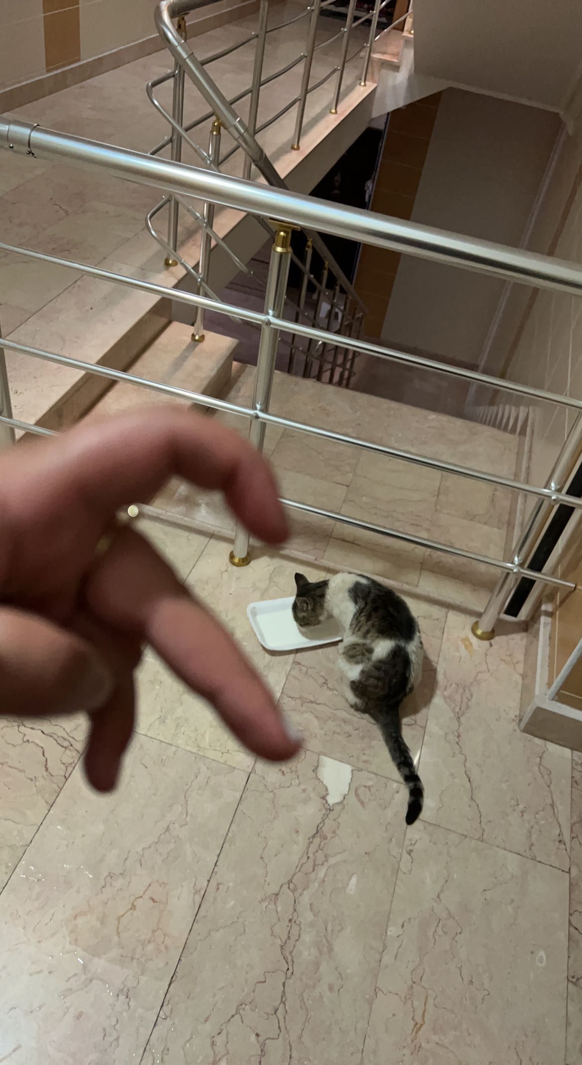 image-14