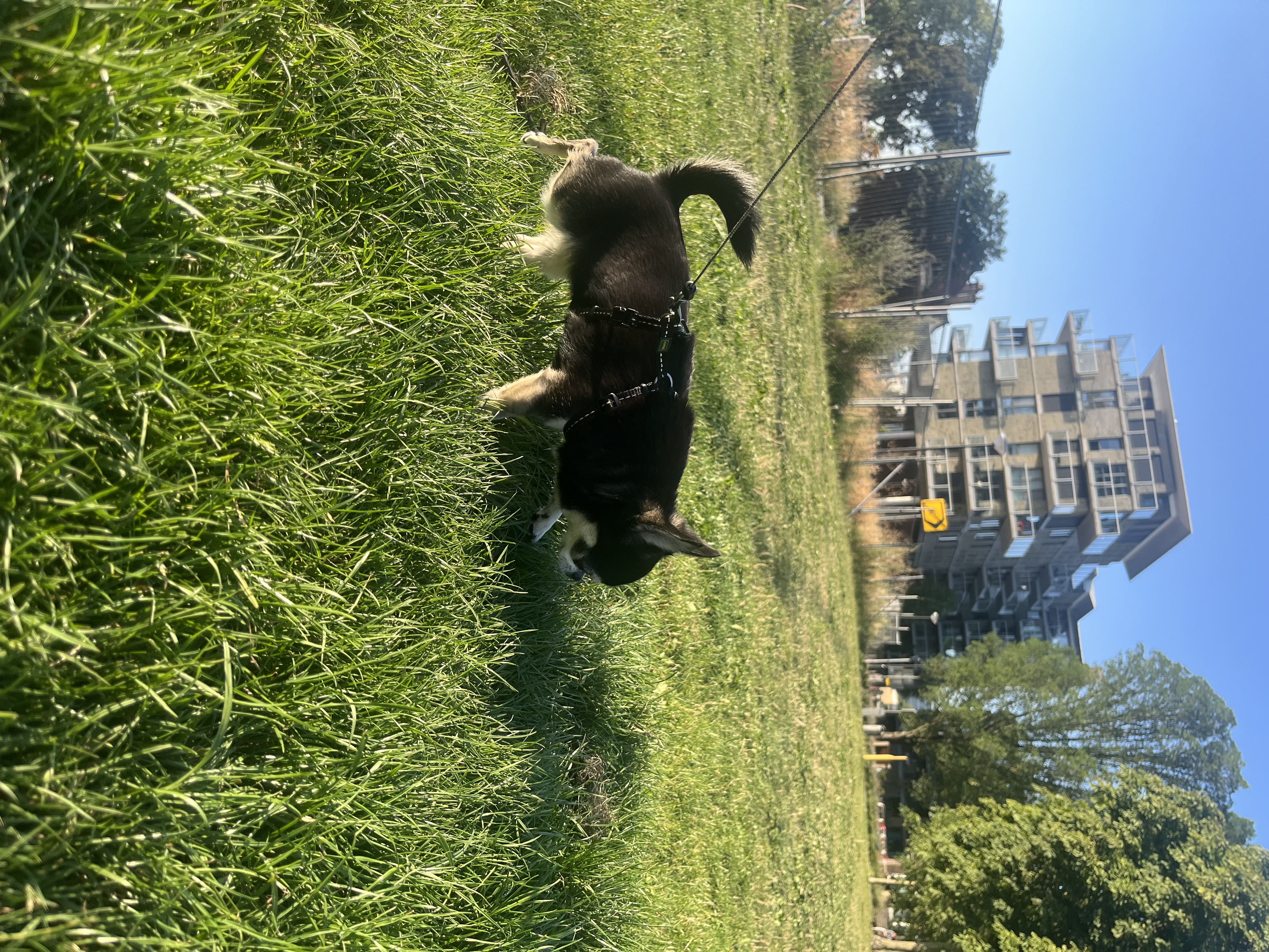 image-12