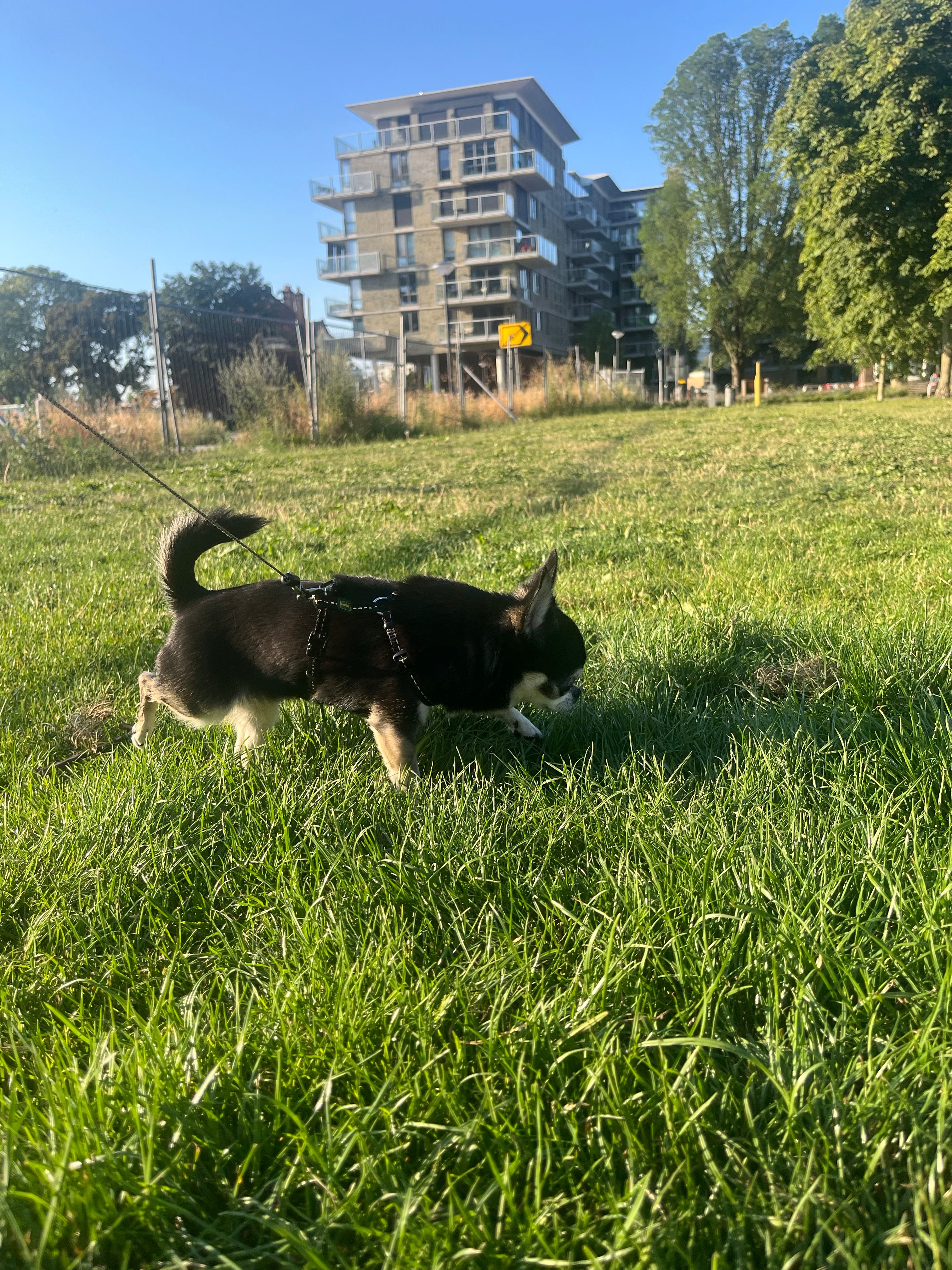 image-12