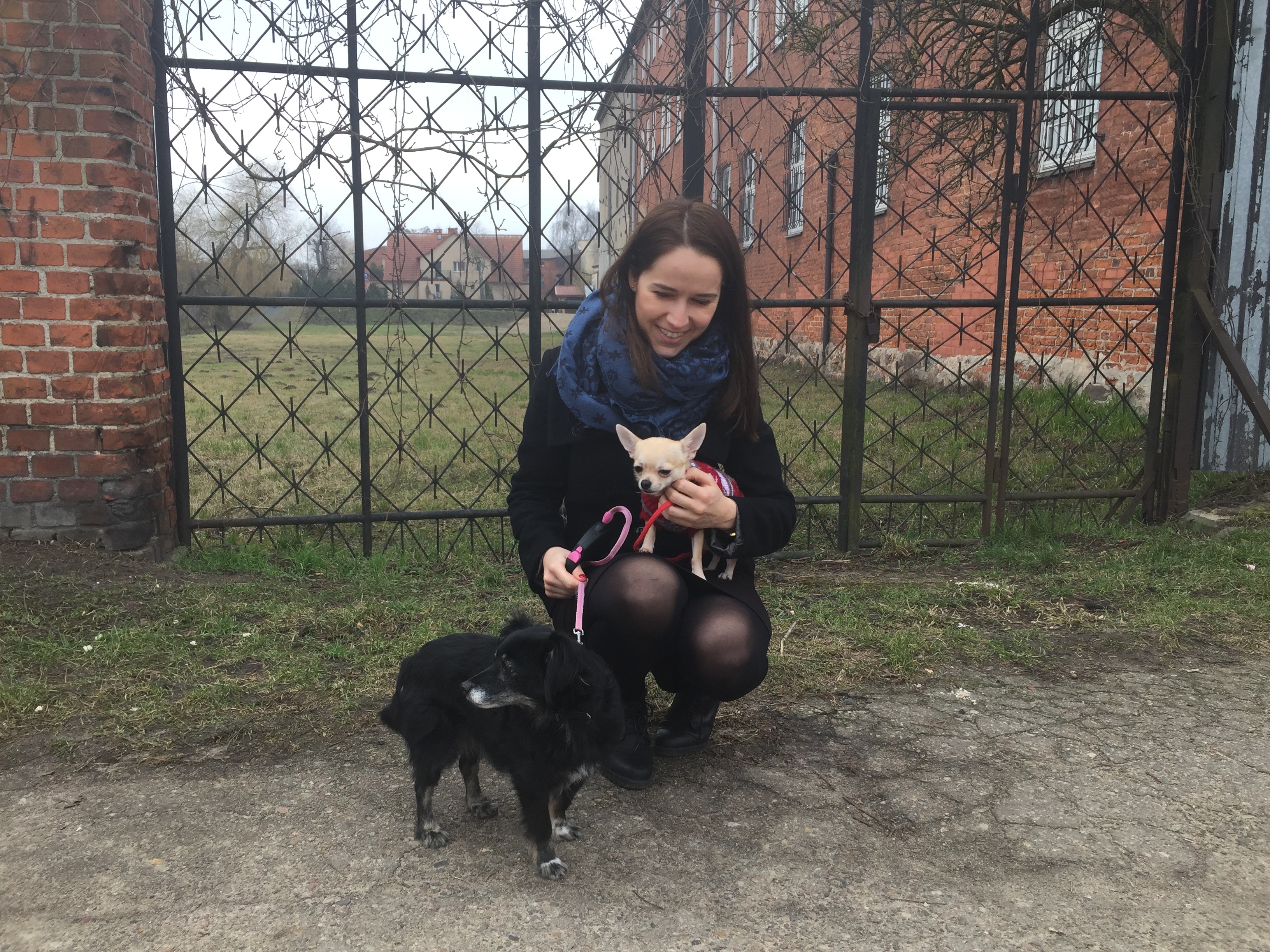 image-8