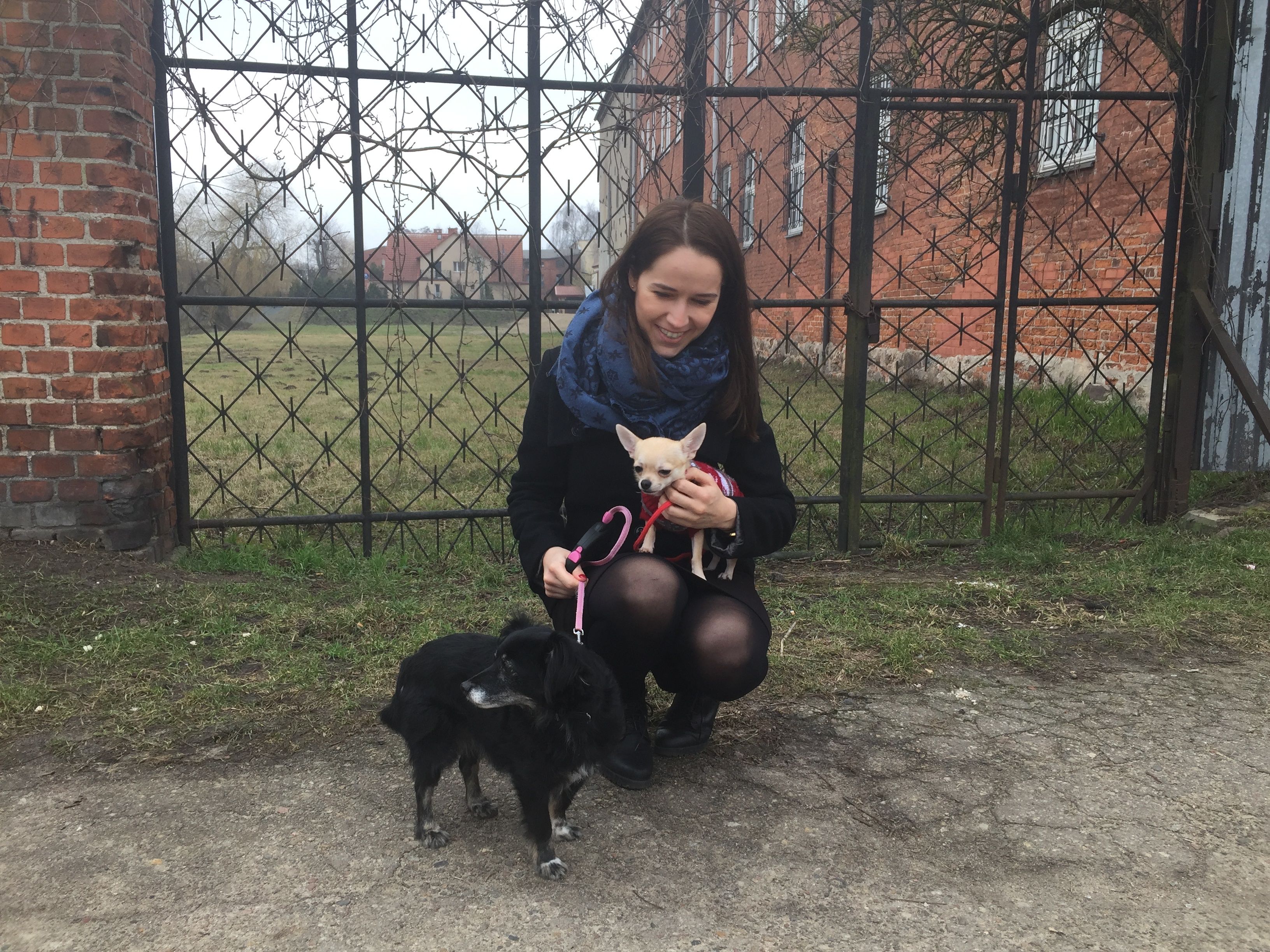 image-8