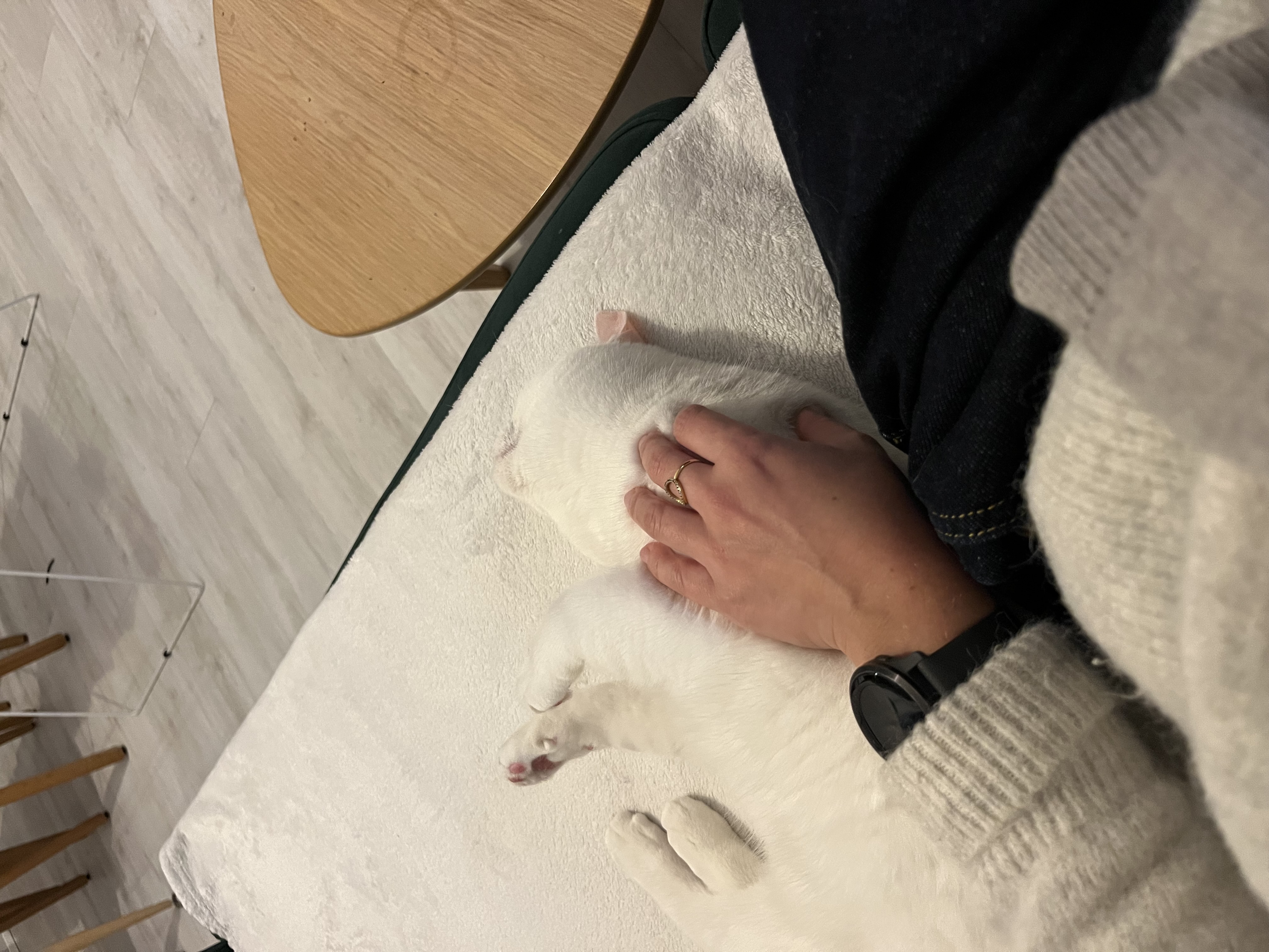 image-5