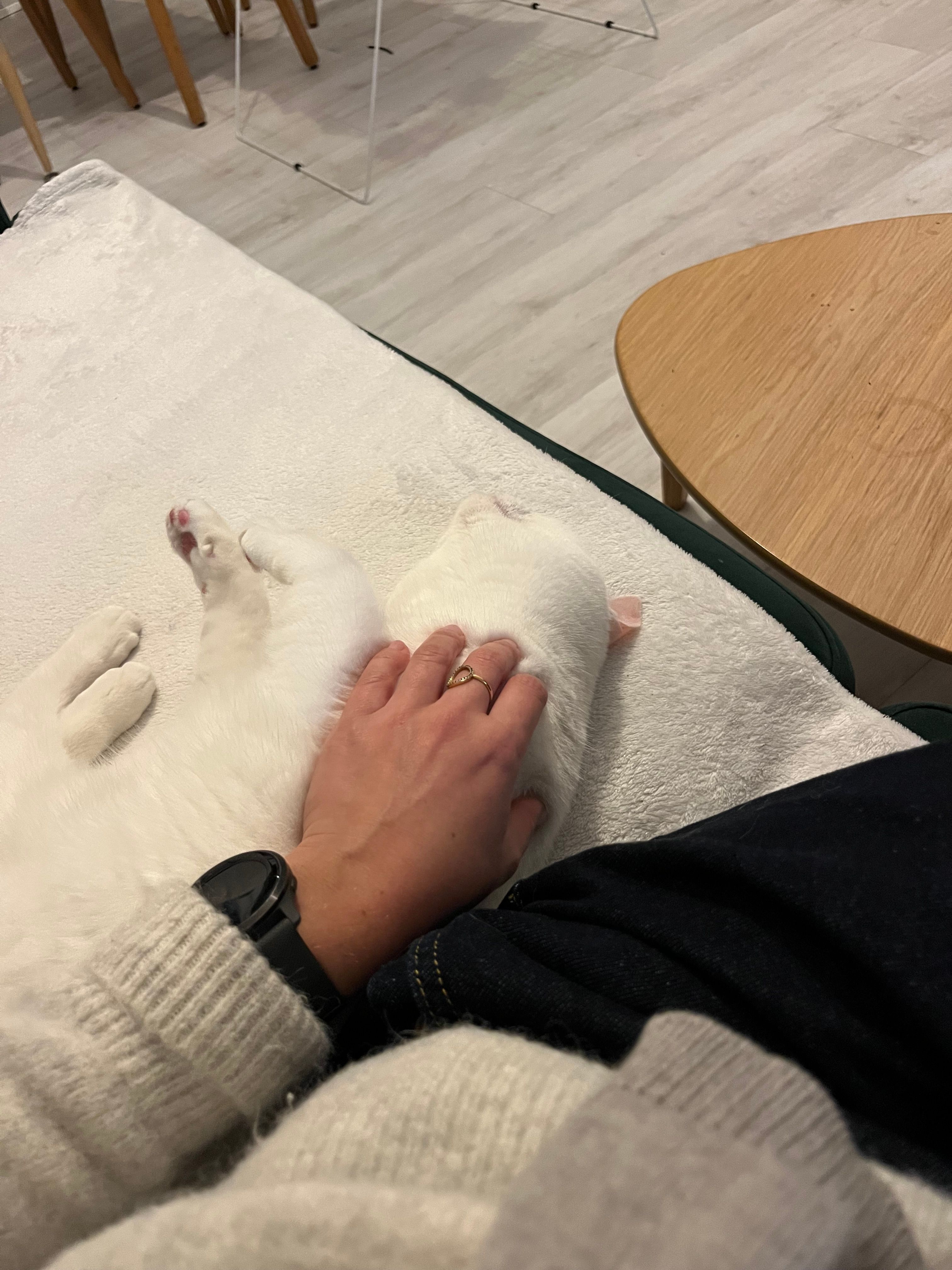 image-5