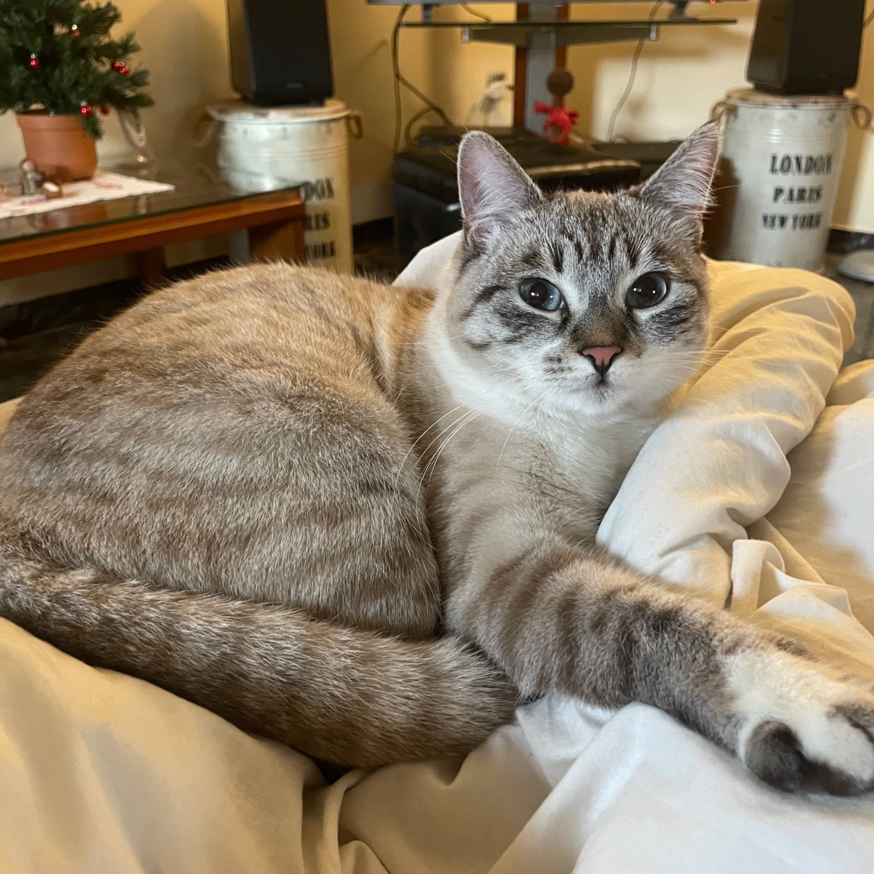 Luna