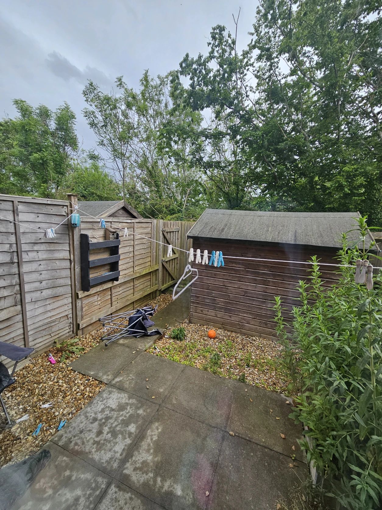 image-20