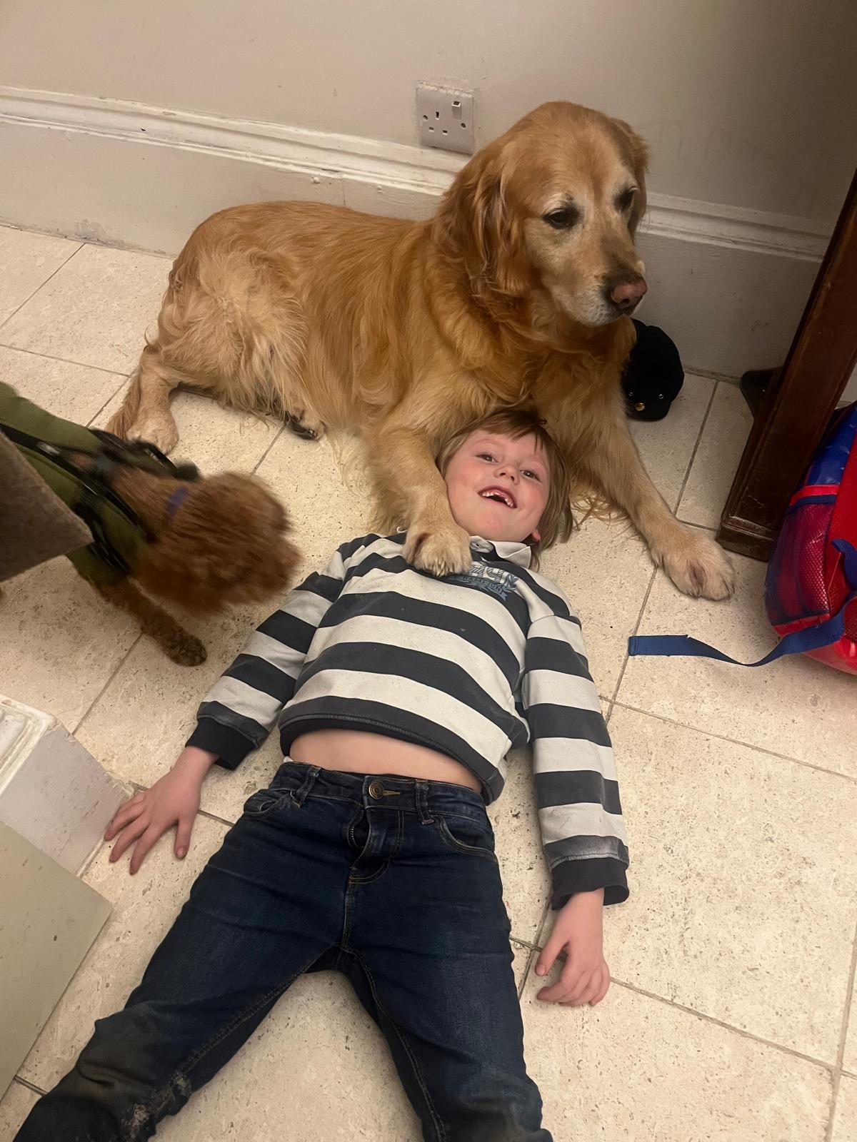 image-11