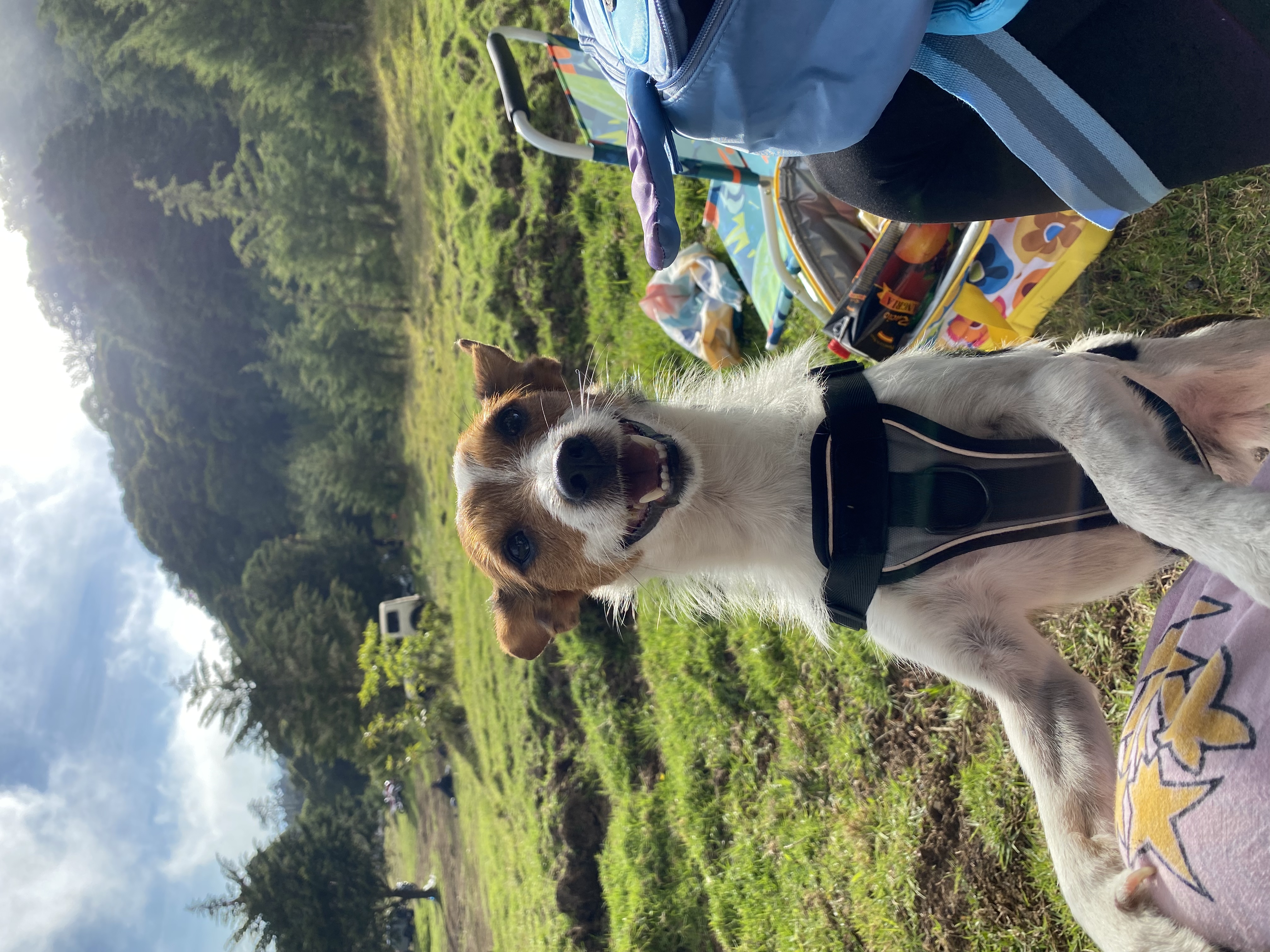 image-6