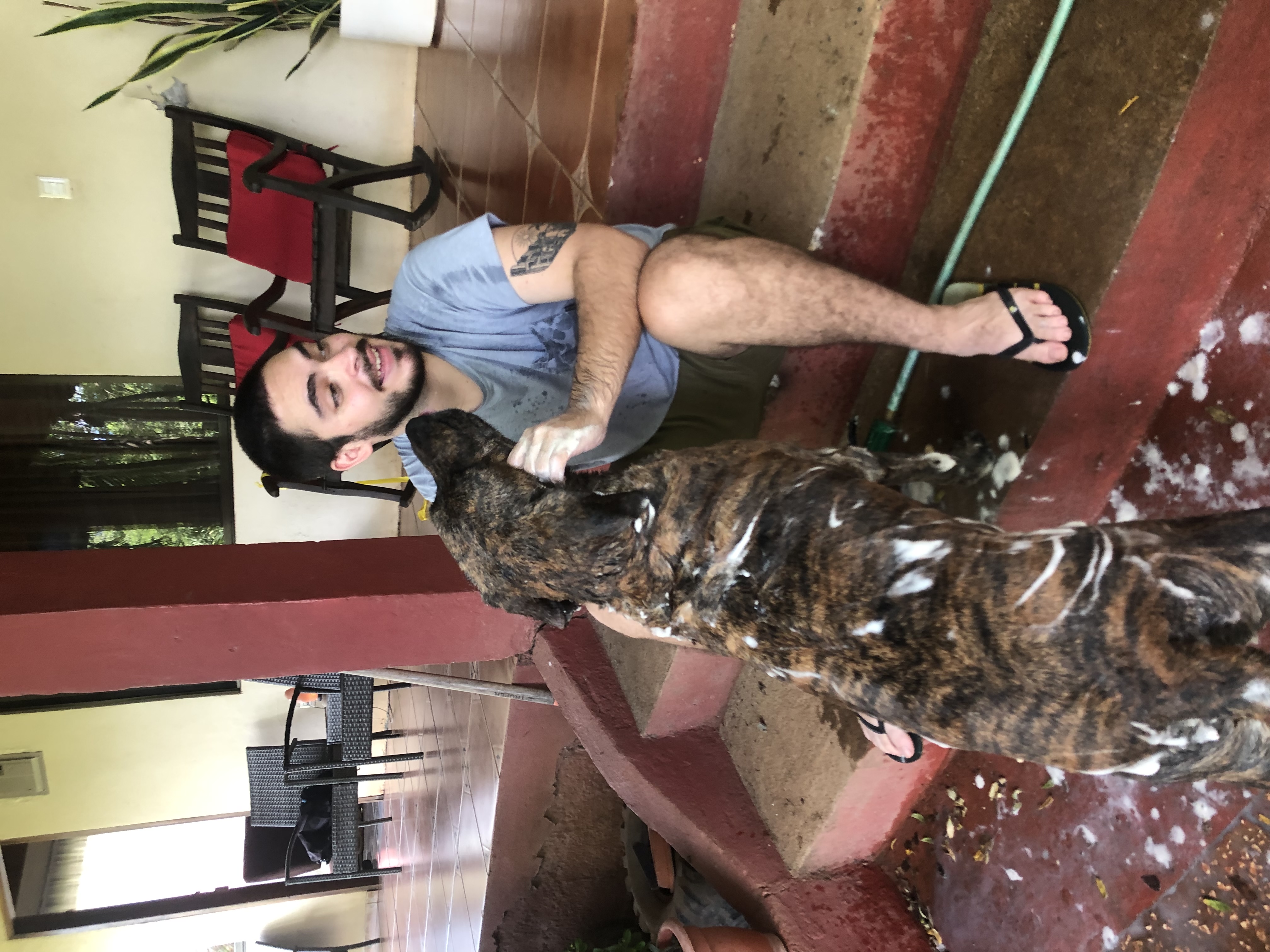 image-4