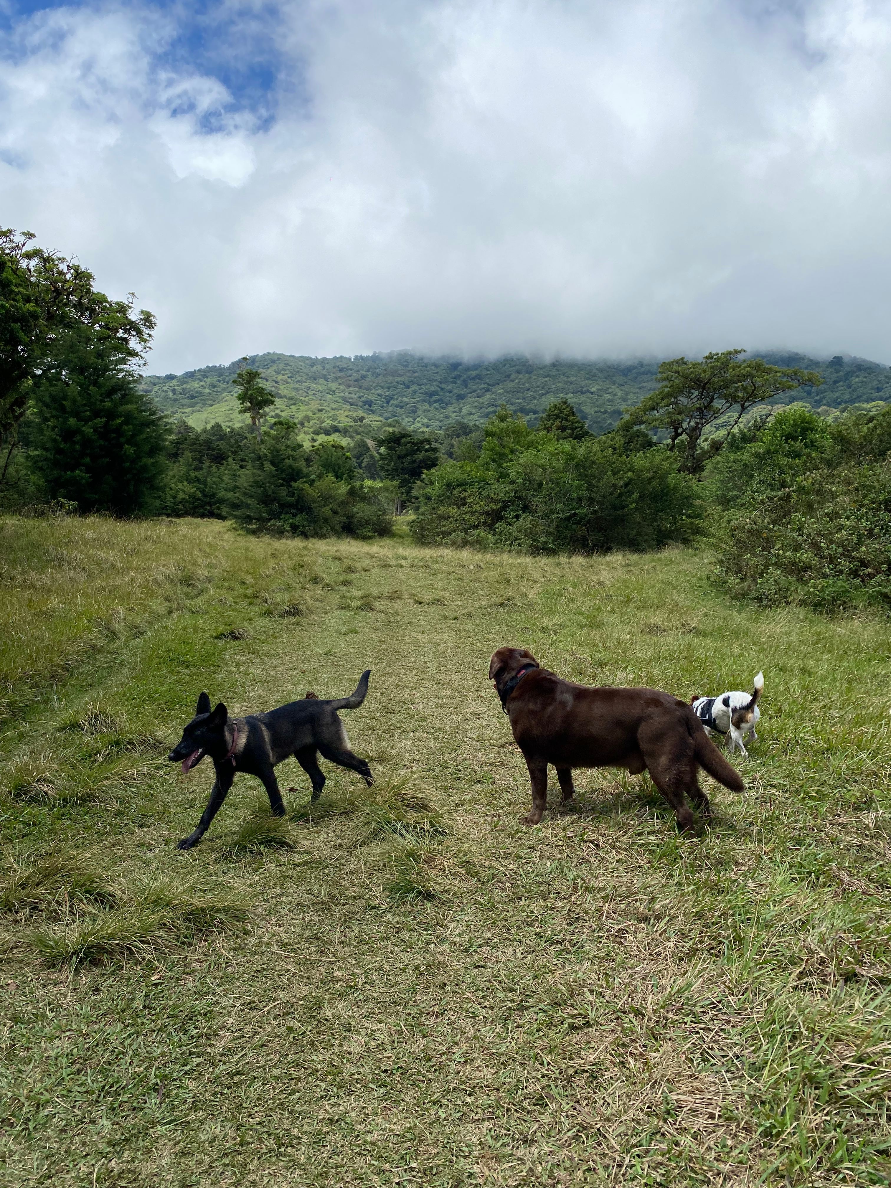 image-9