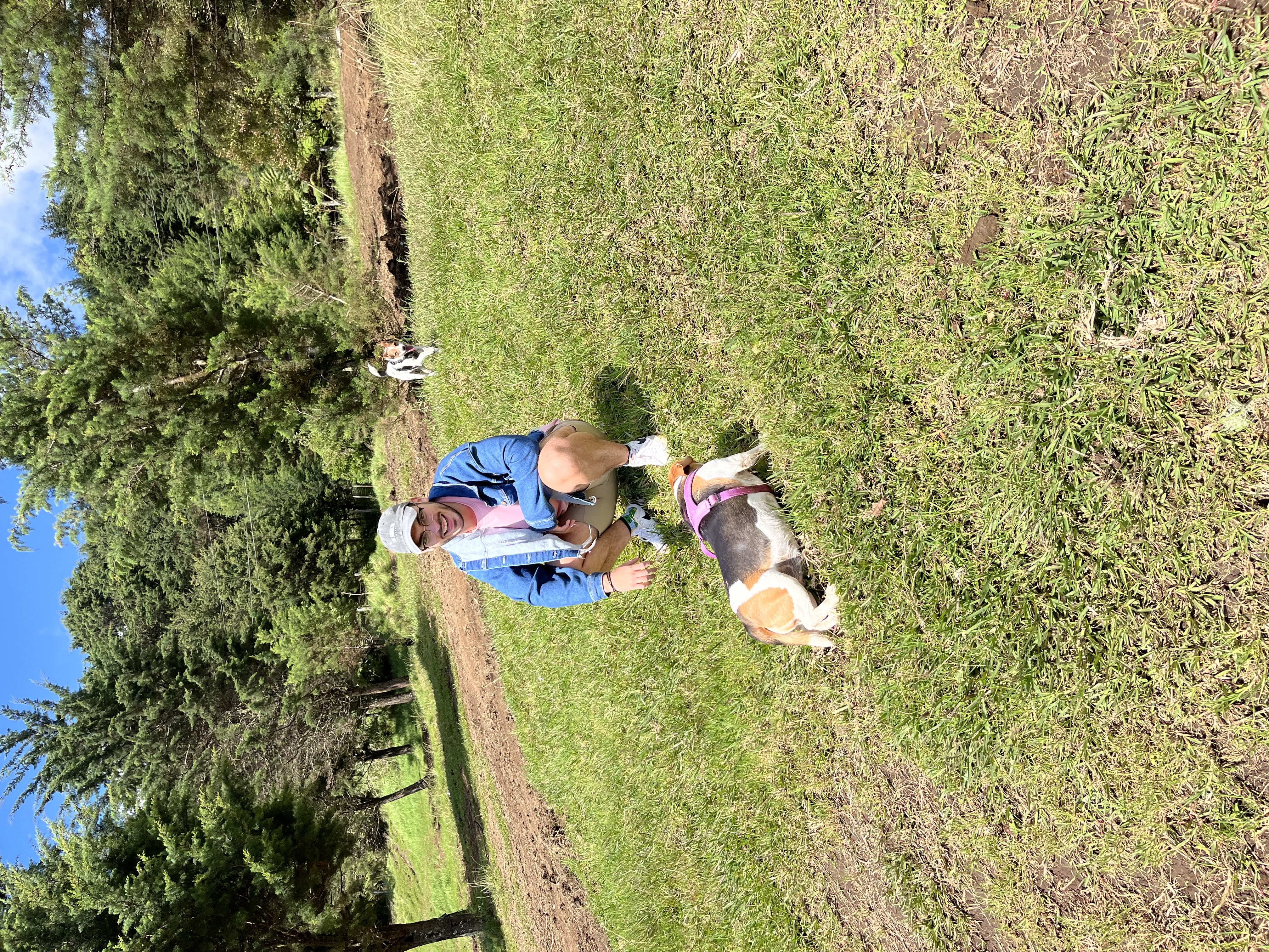 image-2