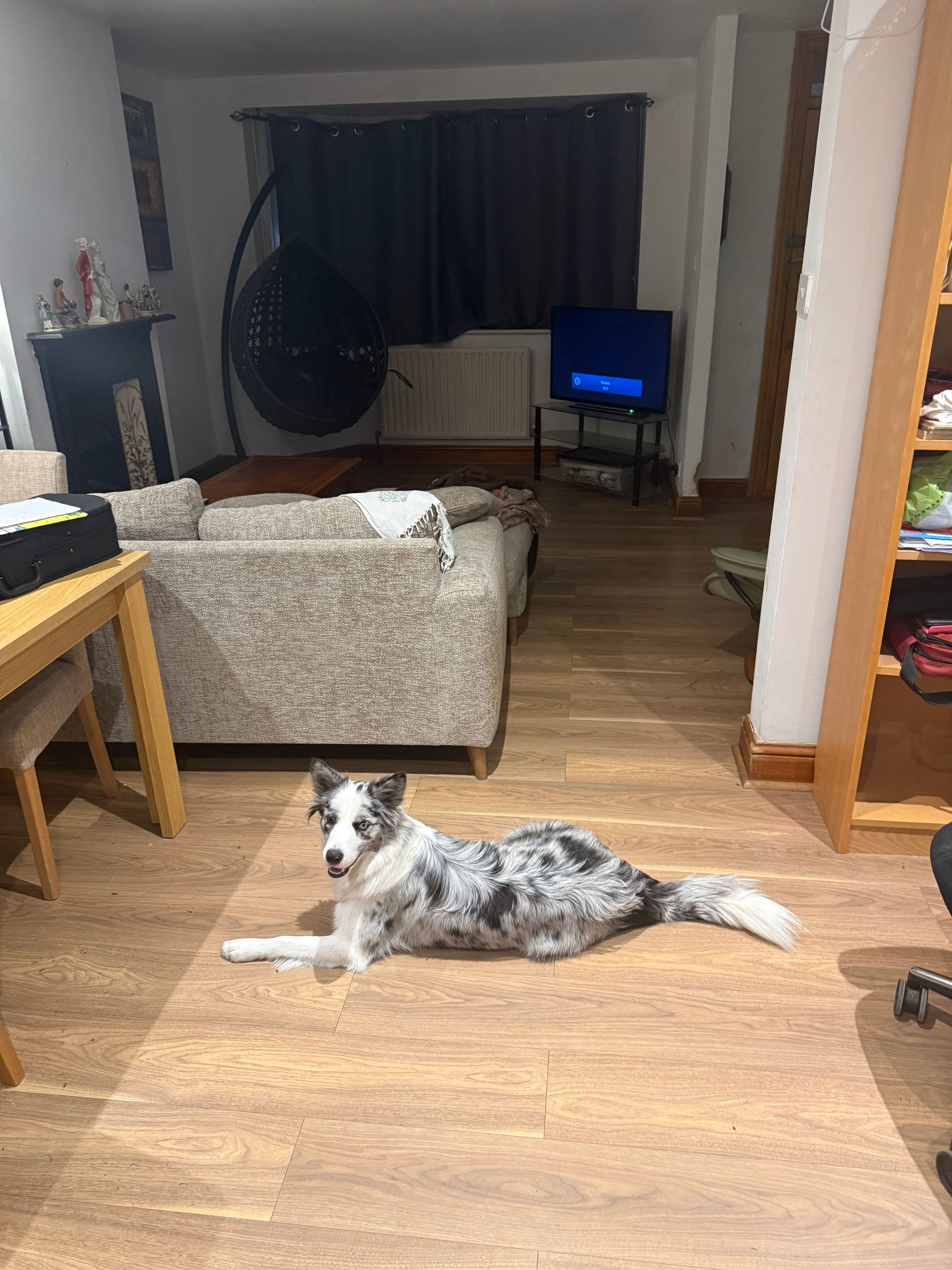image-9