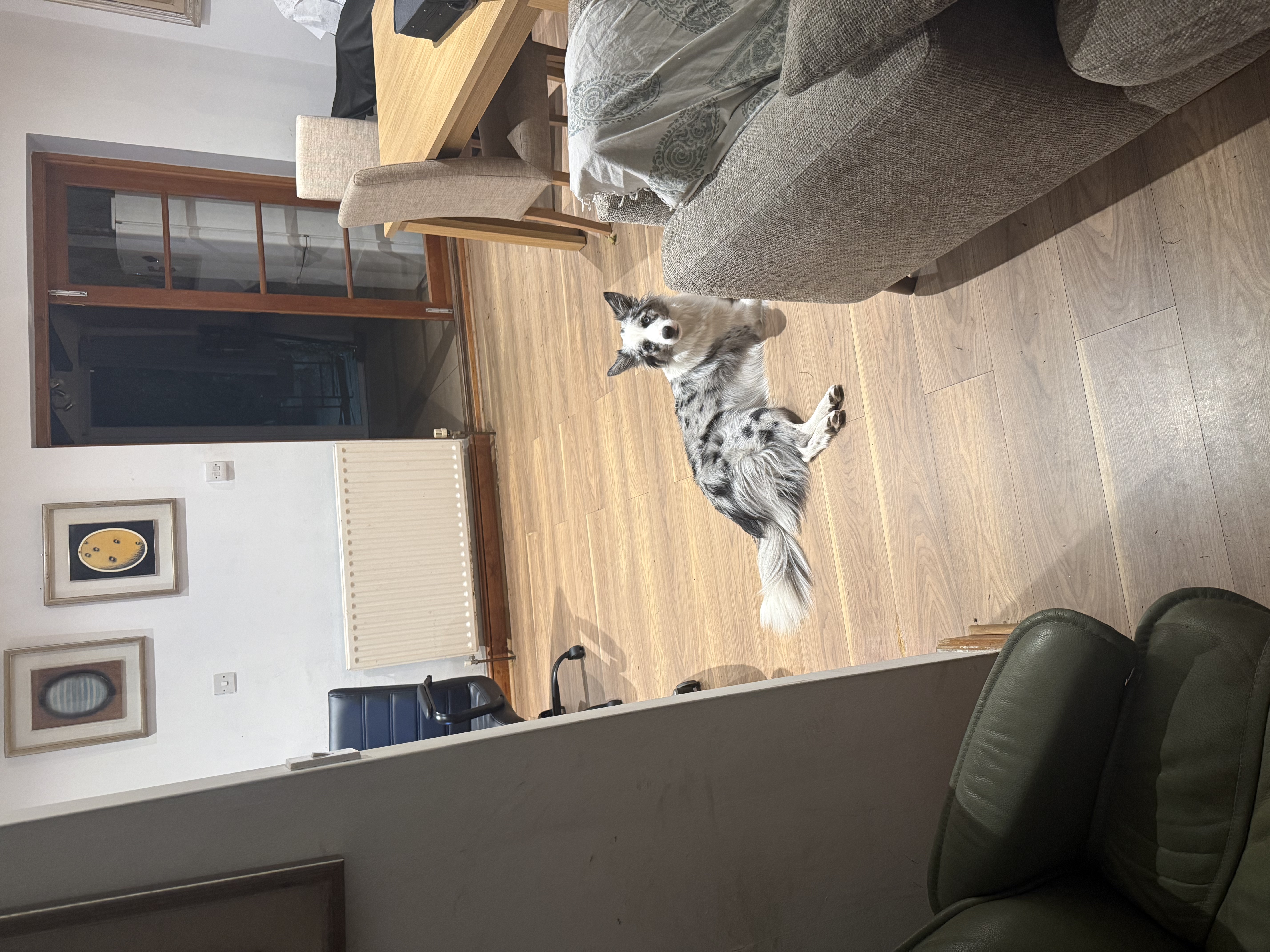 image-8