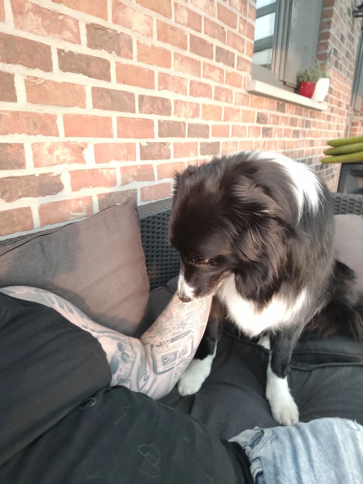 image-8