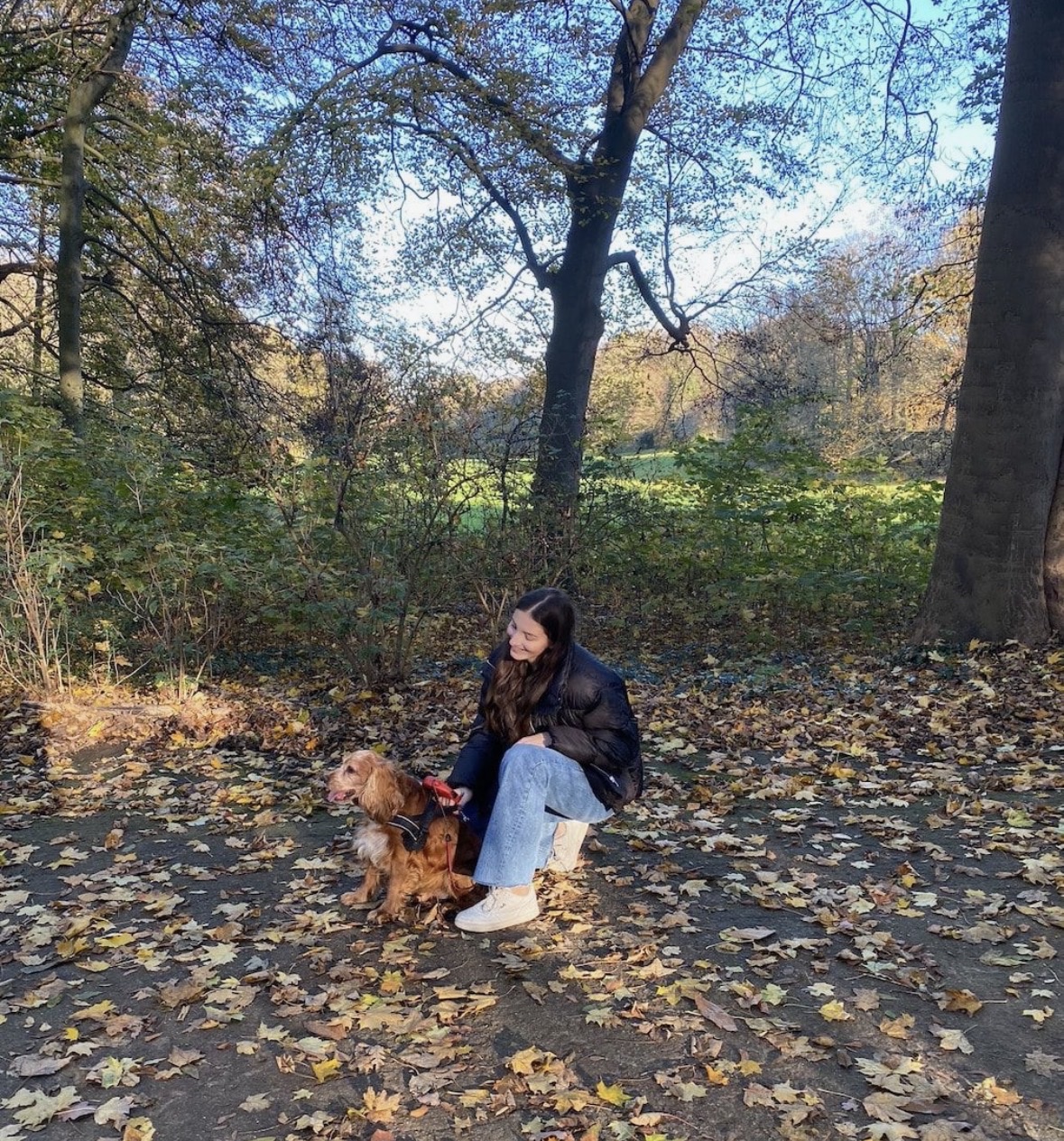 image-6