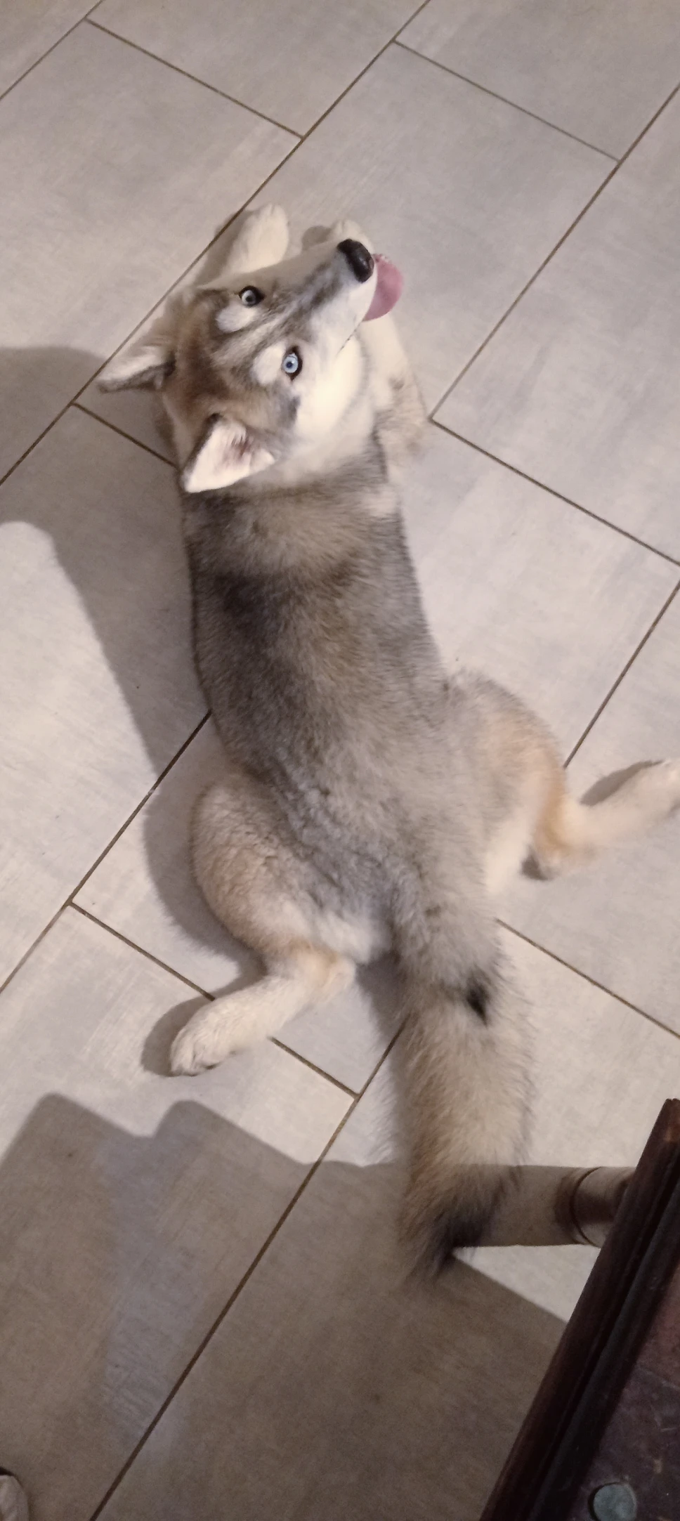 image-9