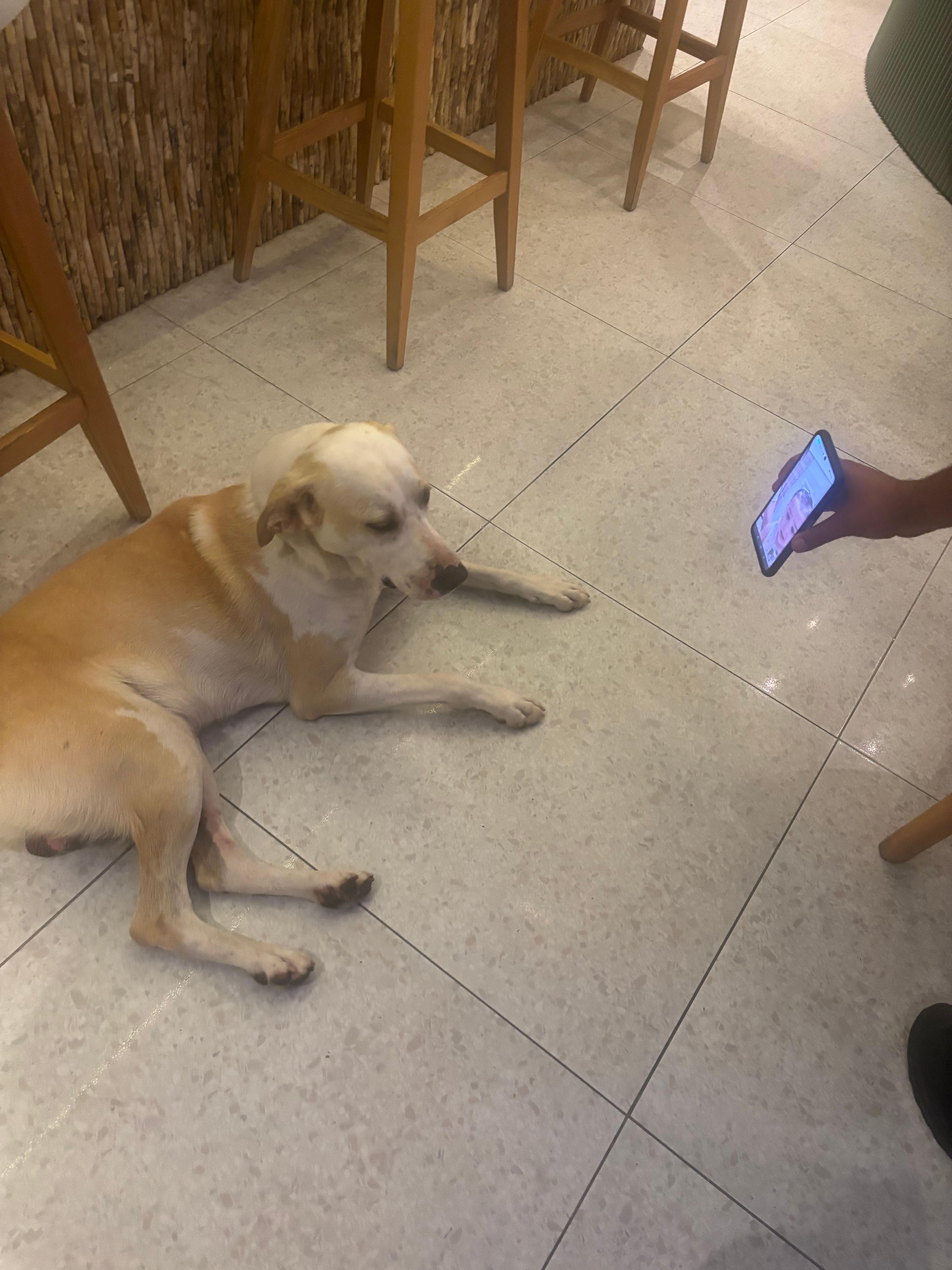 image-13
