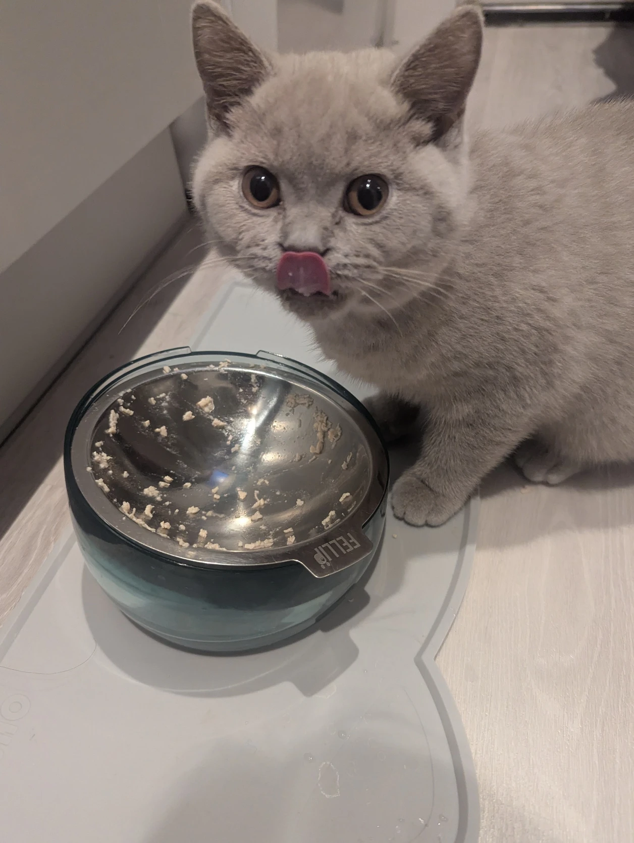 image-7