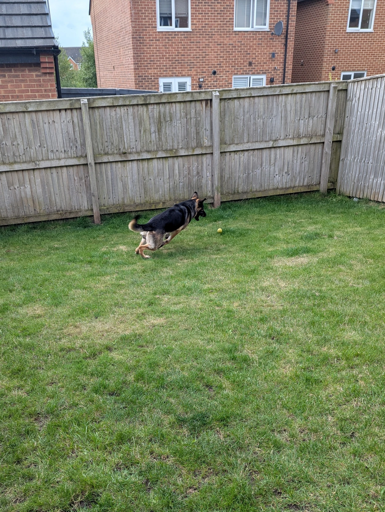 image-12