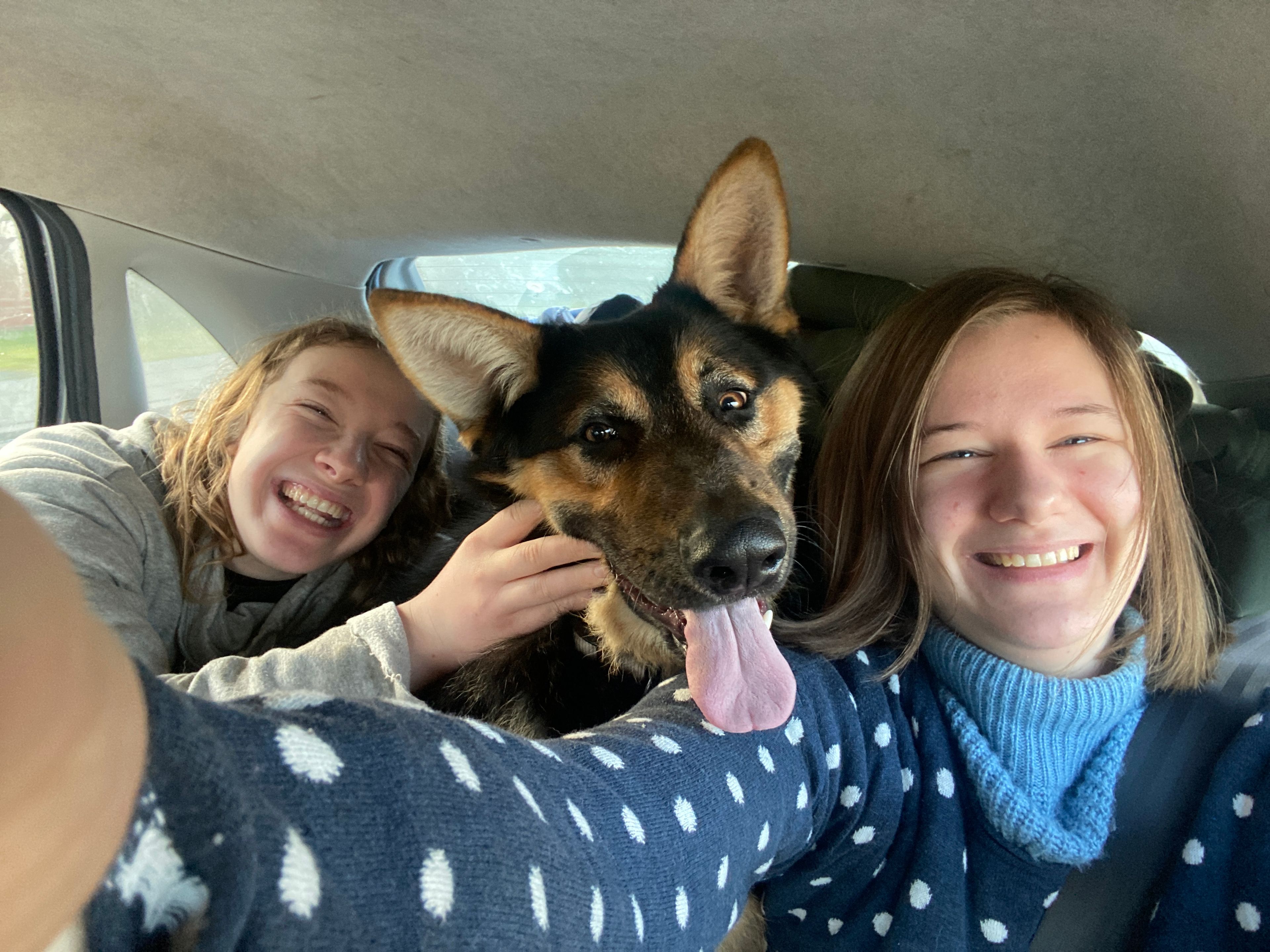 image-10