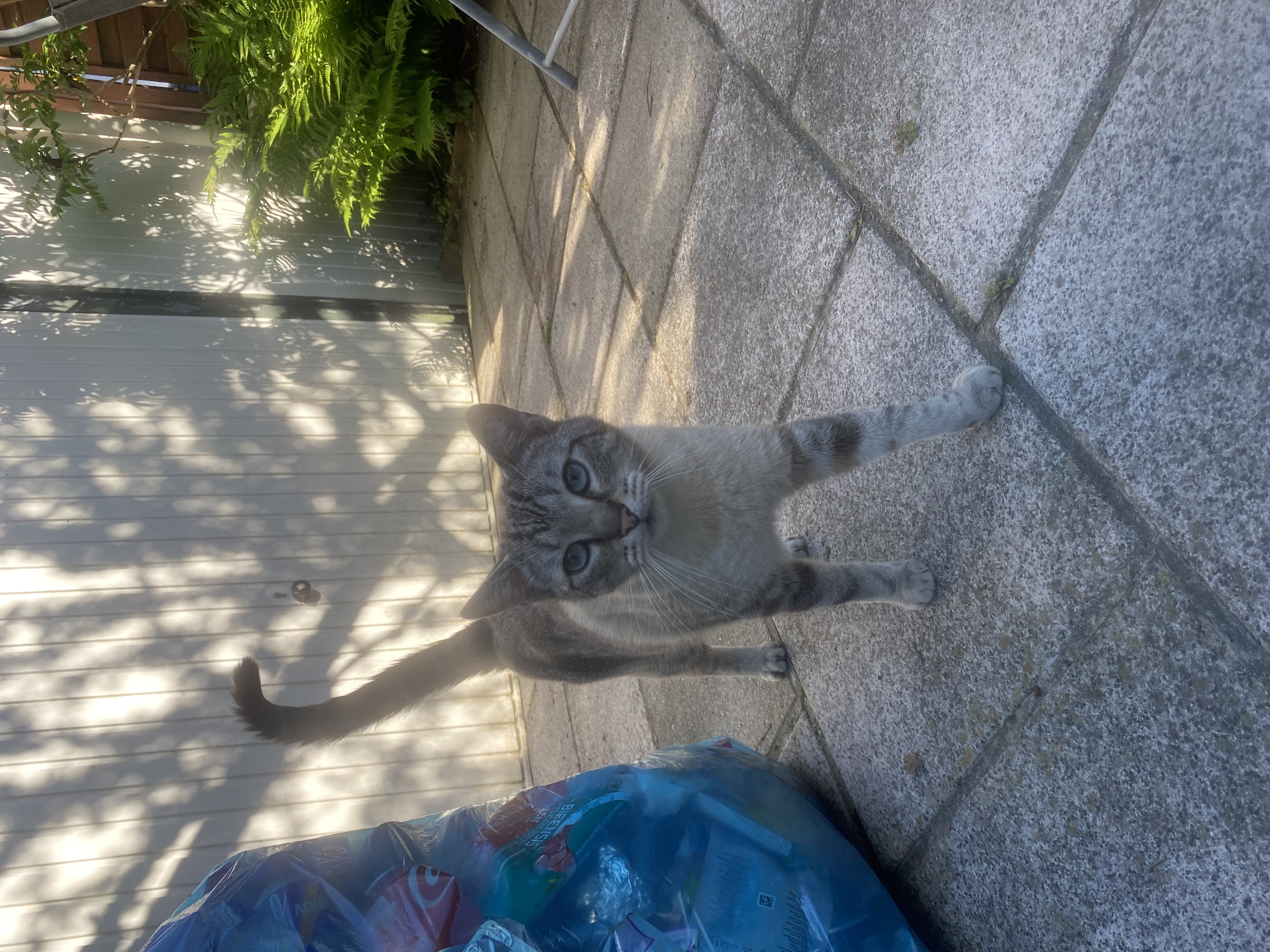 image-8