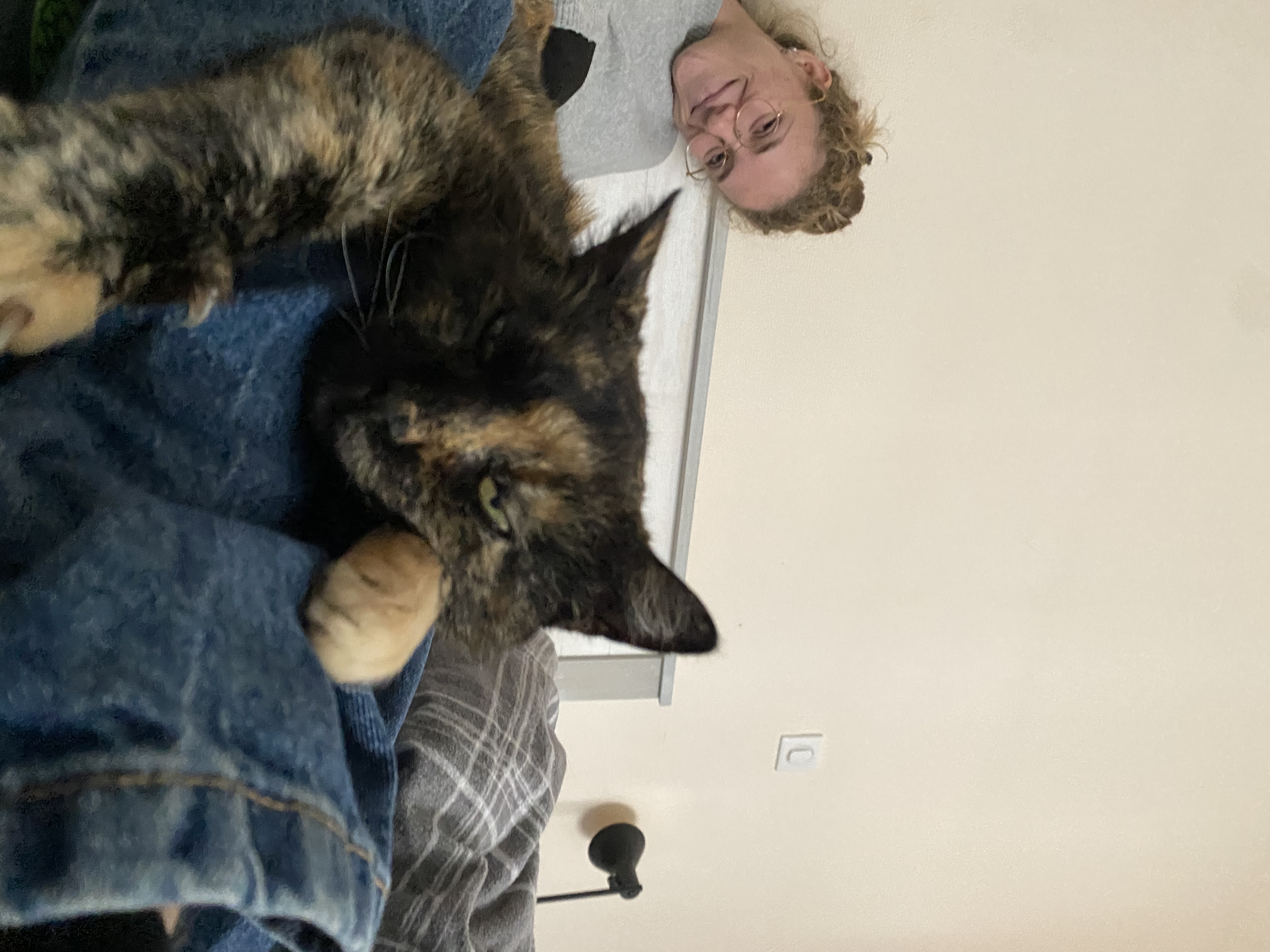 image-13