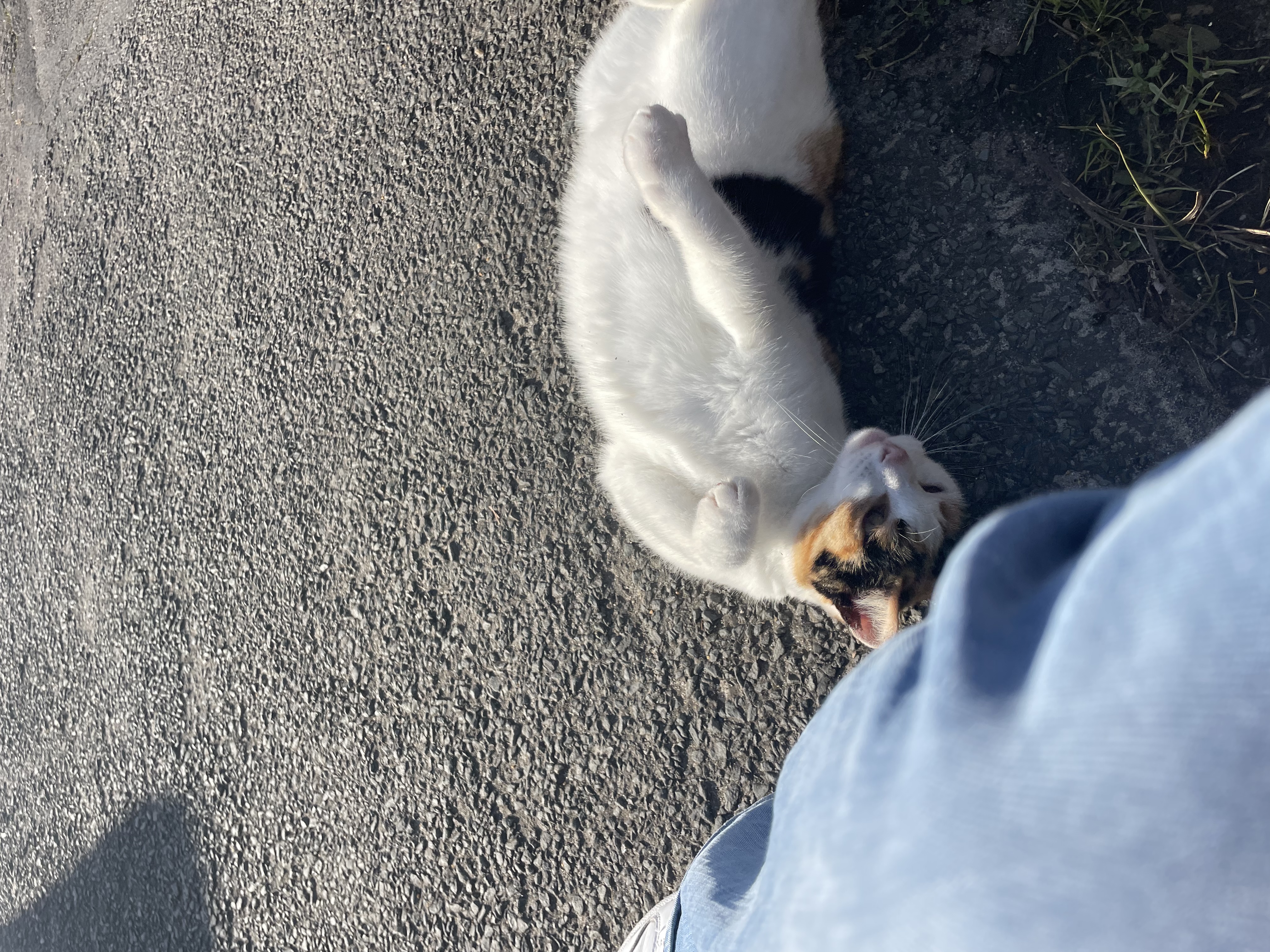 image-8