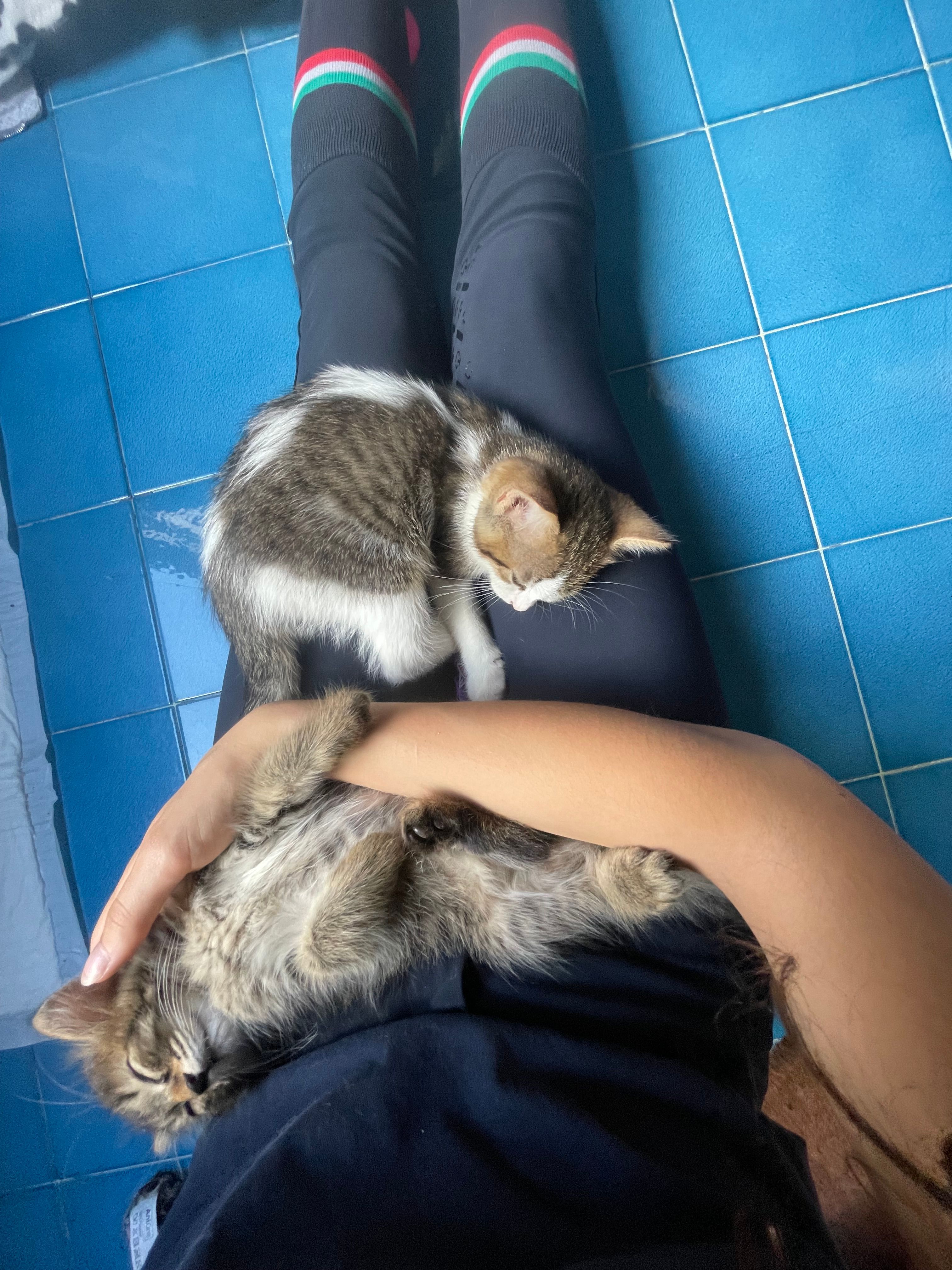 image-4
