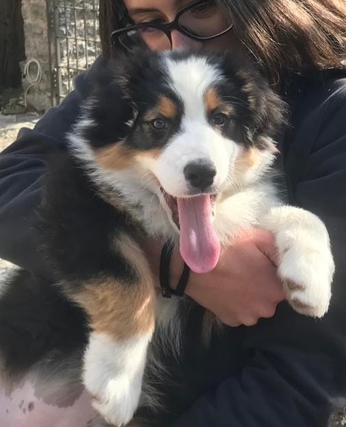 image-6