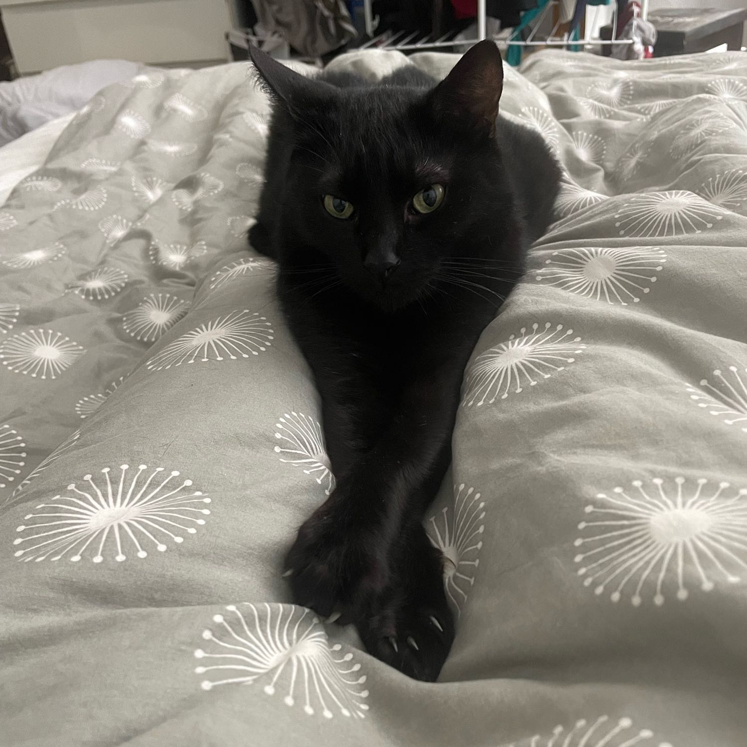 Sekhmet
