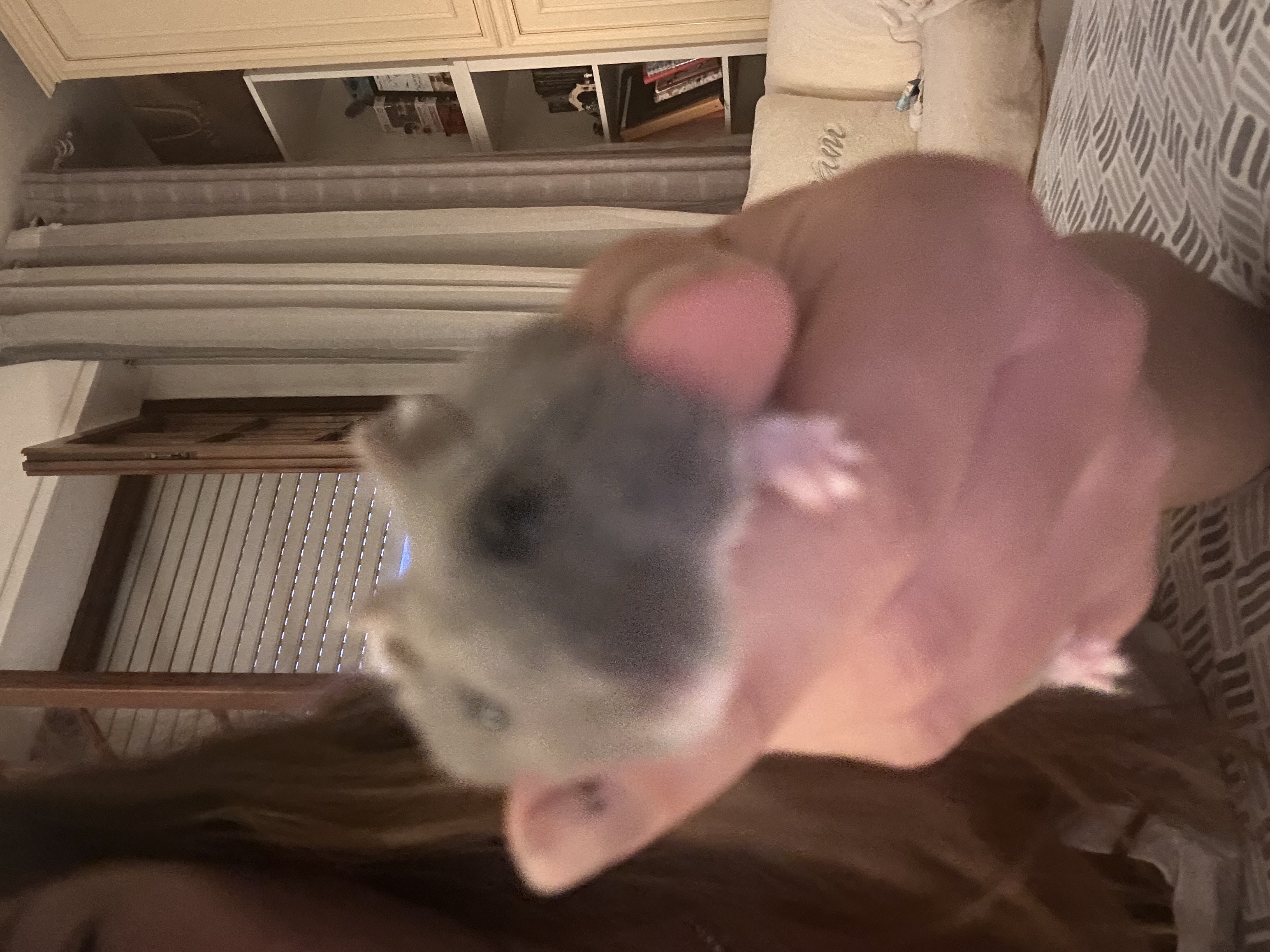 image-9