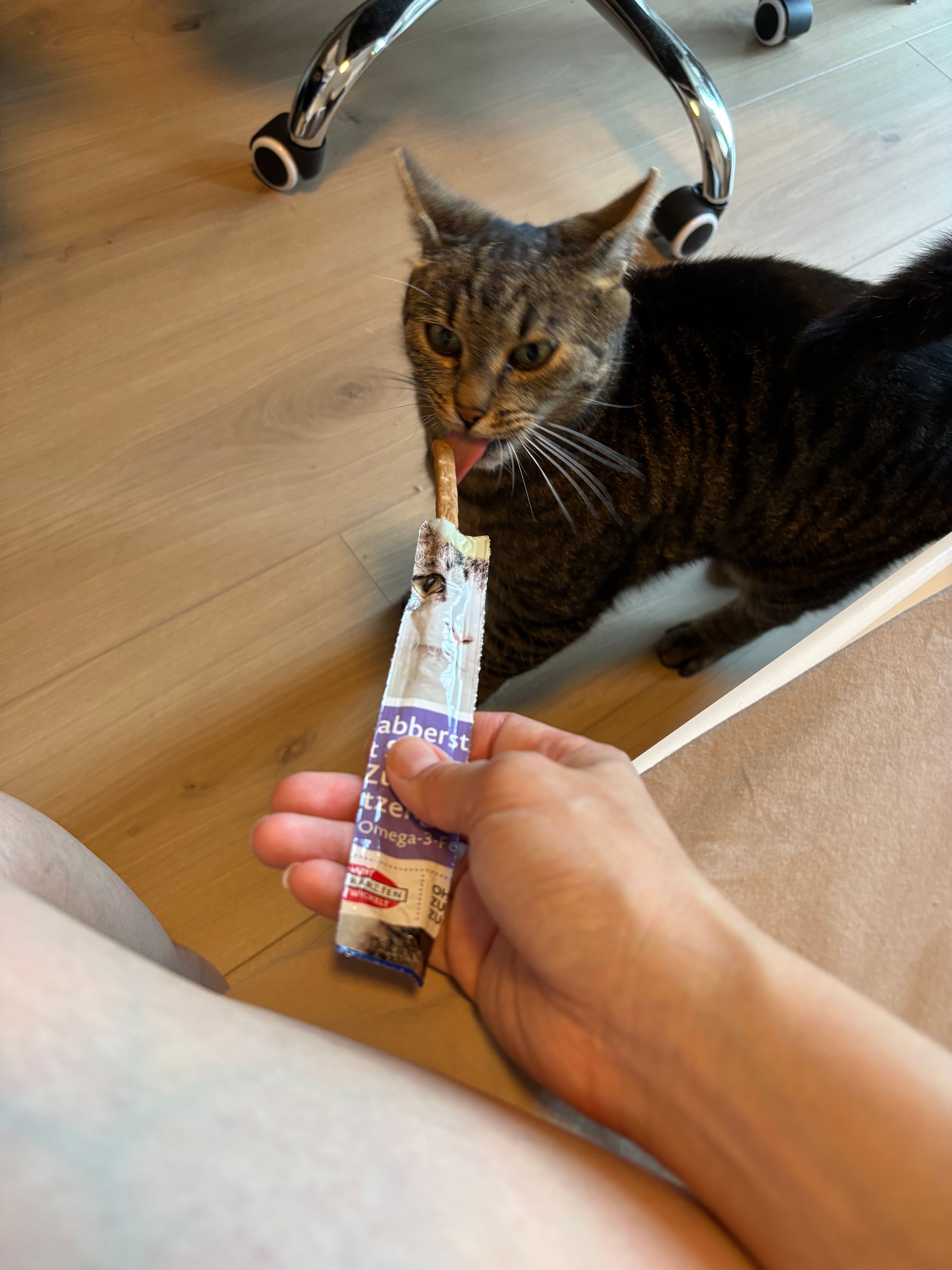 image-11